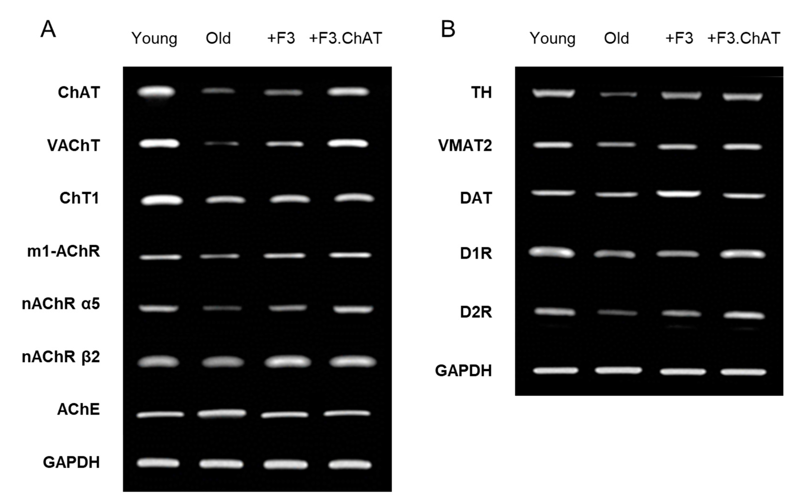 Preprints 79024 g004