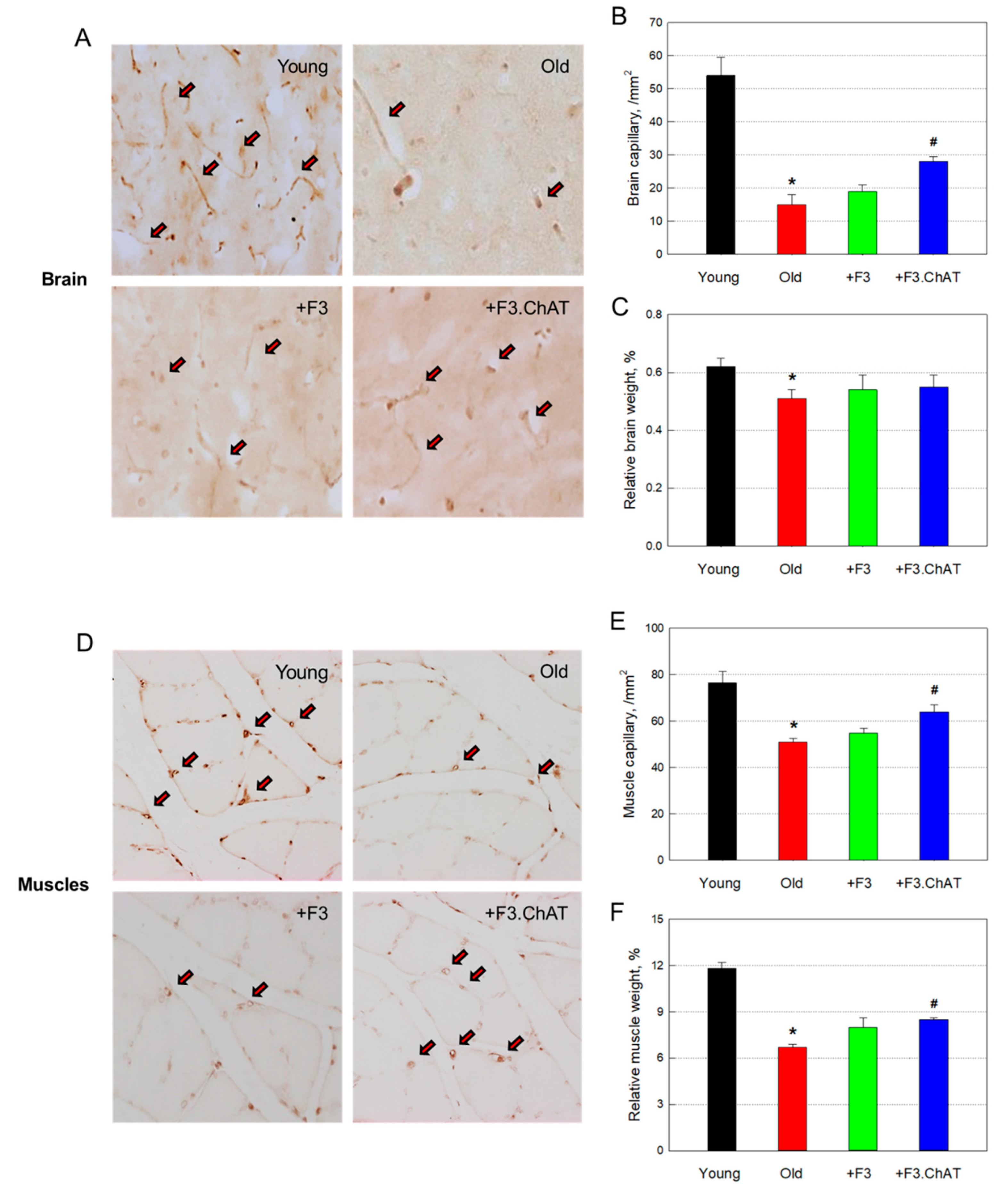 Preprints 79024 g005