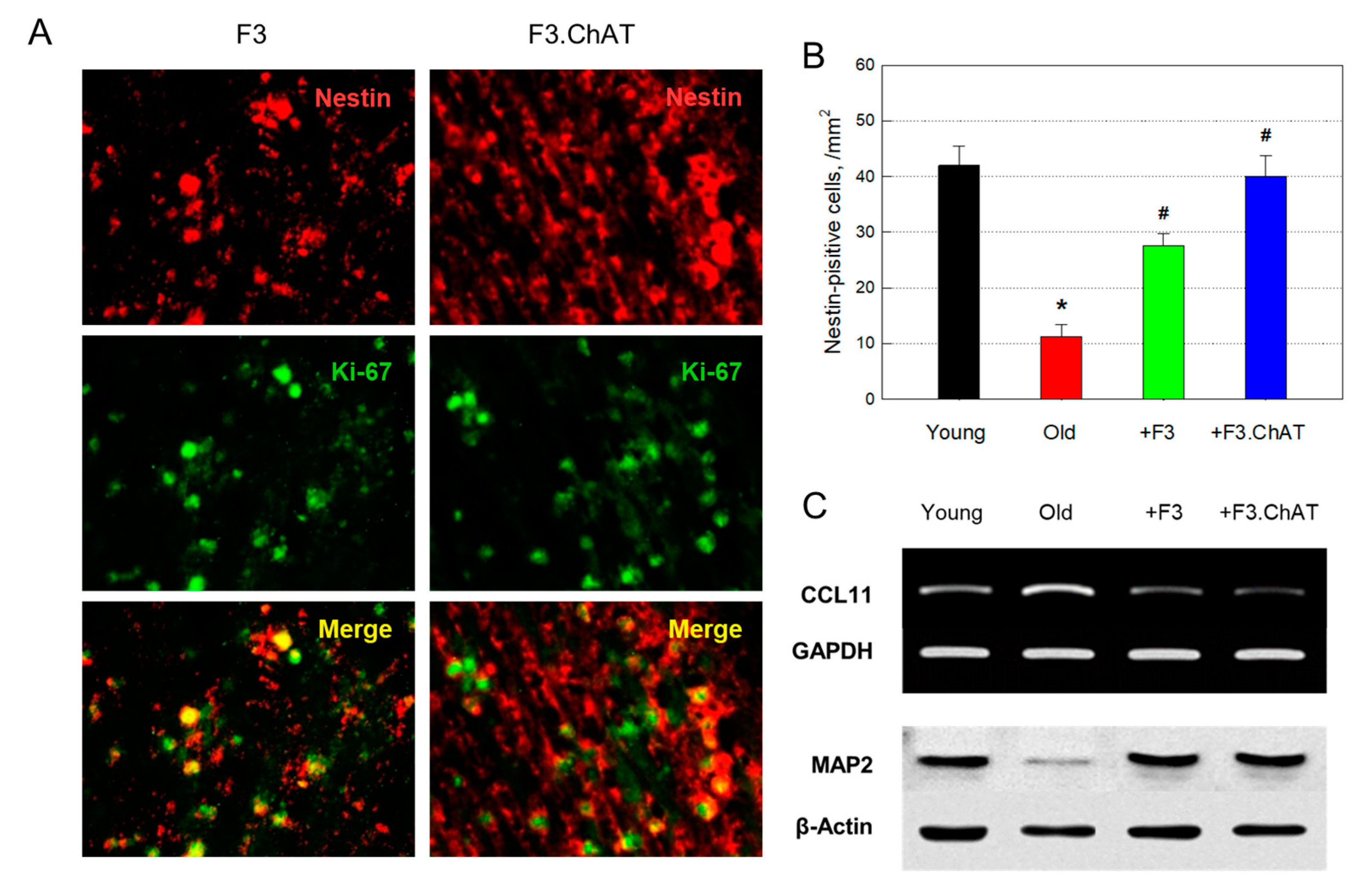 Preprints 79024 g007