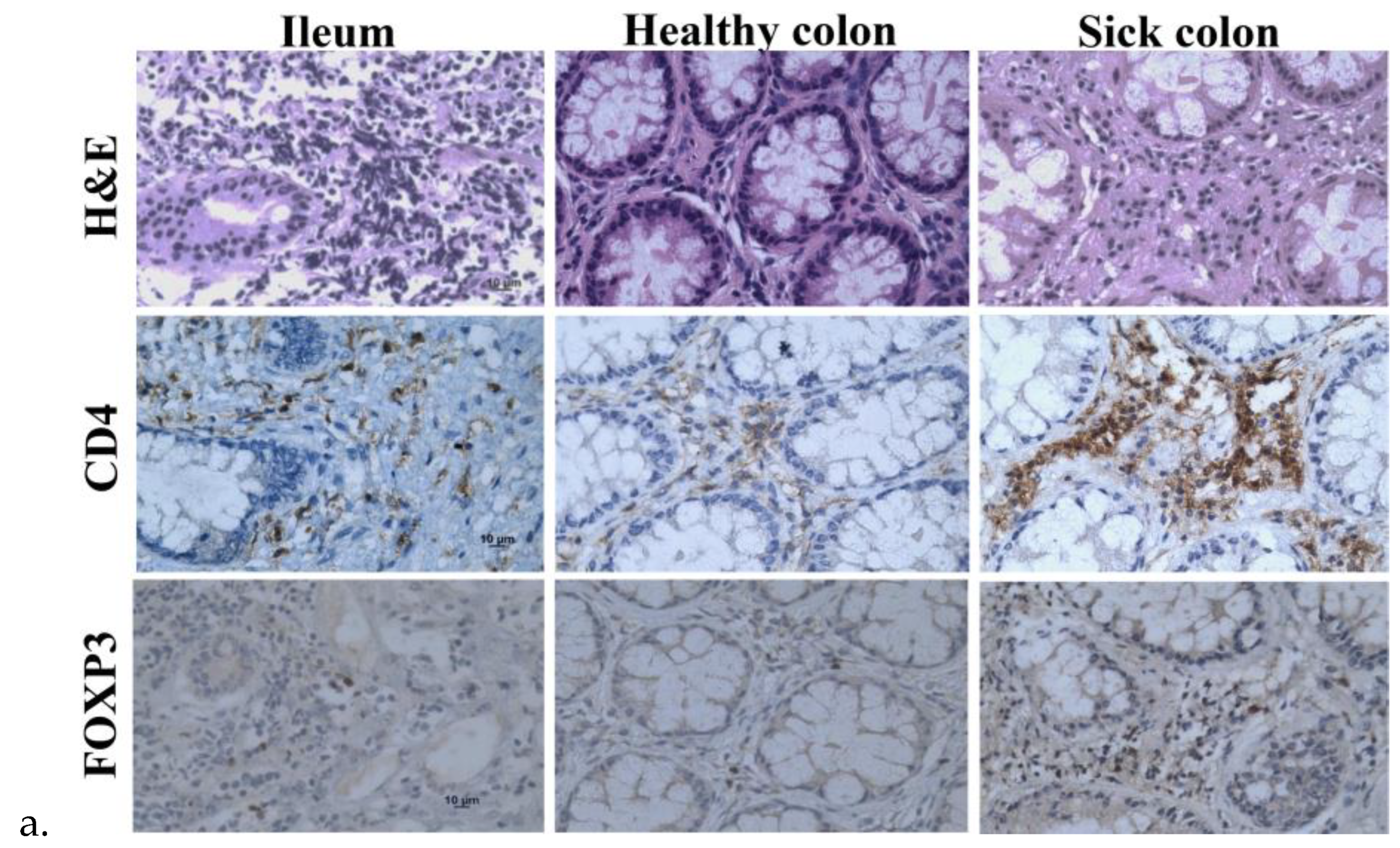 Preprints 119177 g003a