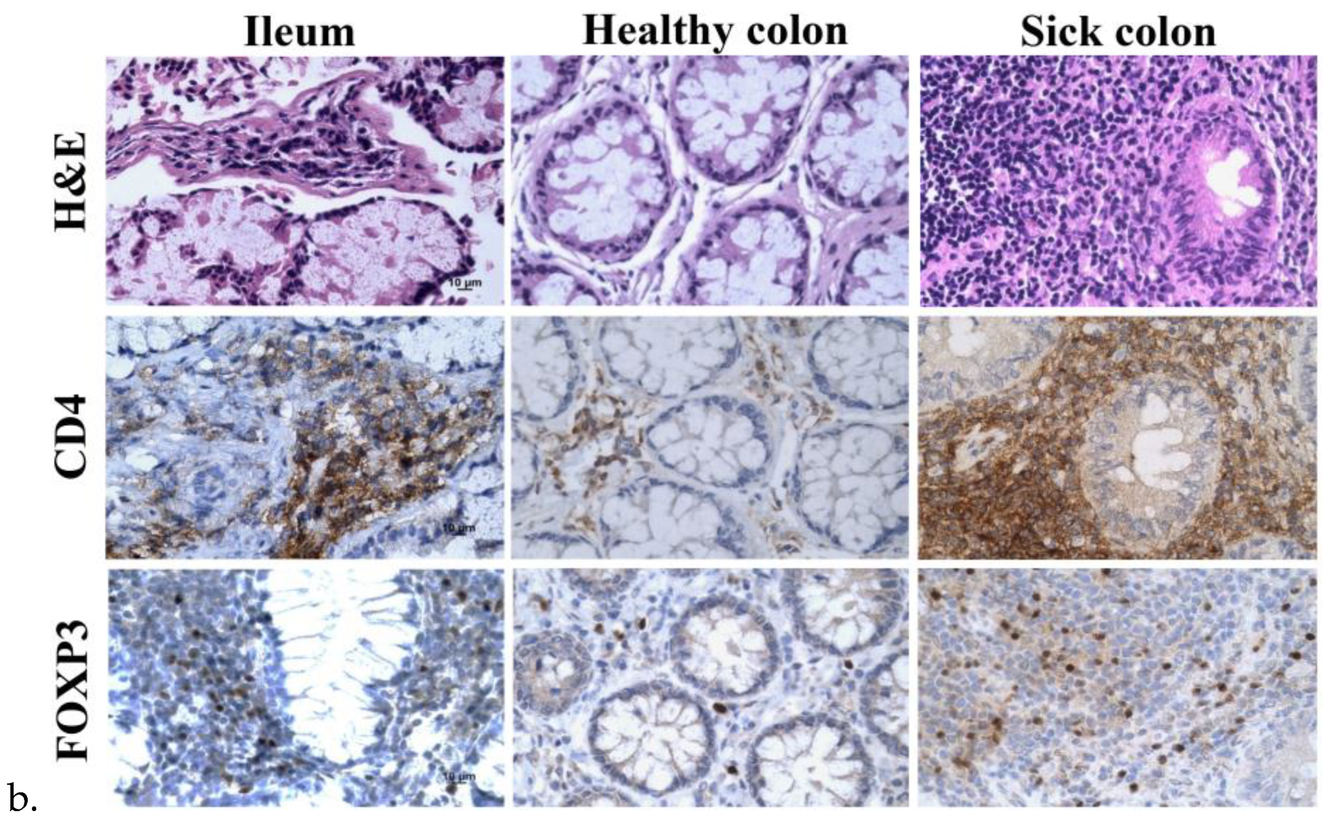 Preprints 119177 g003b