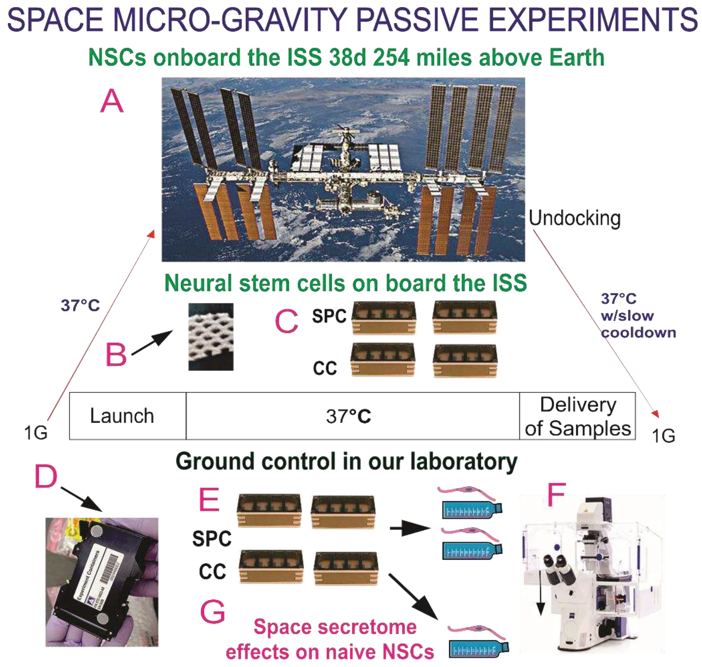 Preprints 91253 g001