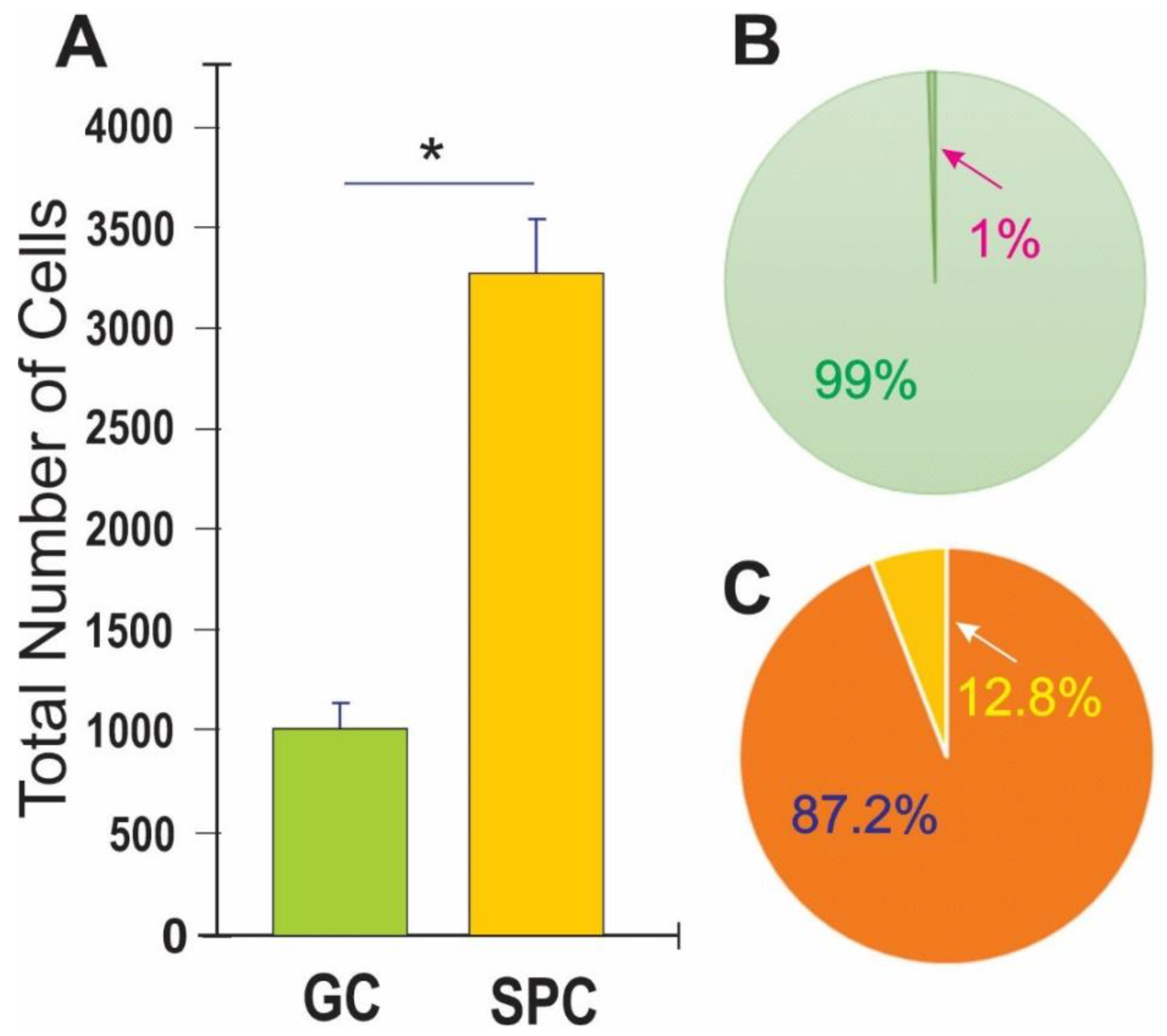 Preprints 91253 g003