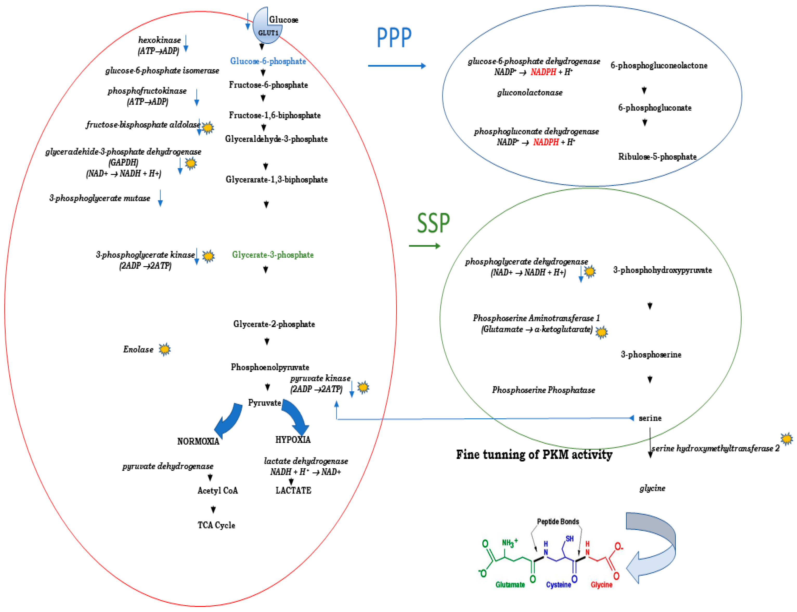 Preprints 72435 g001