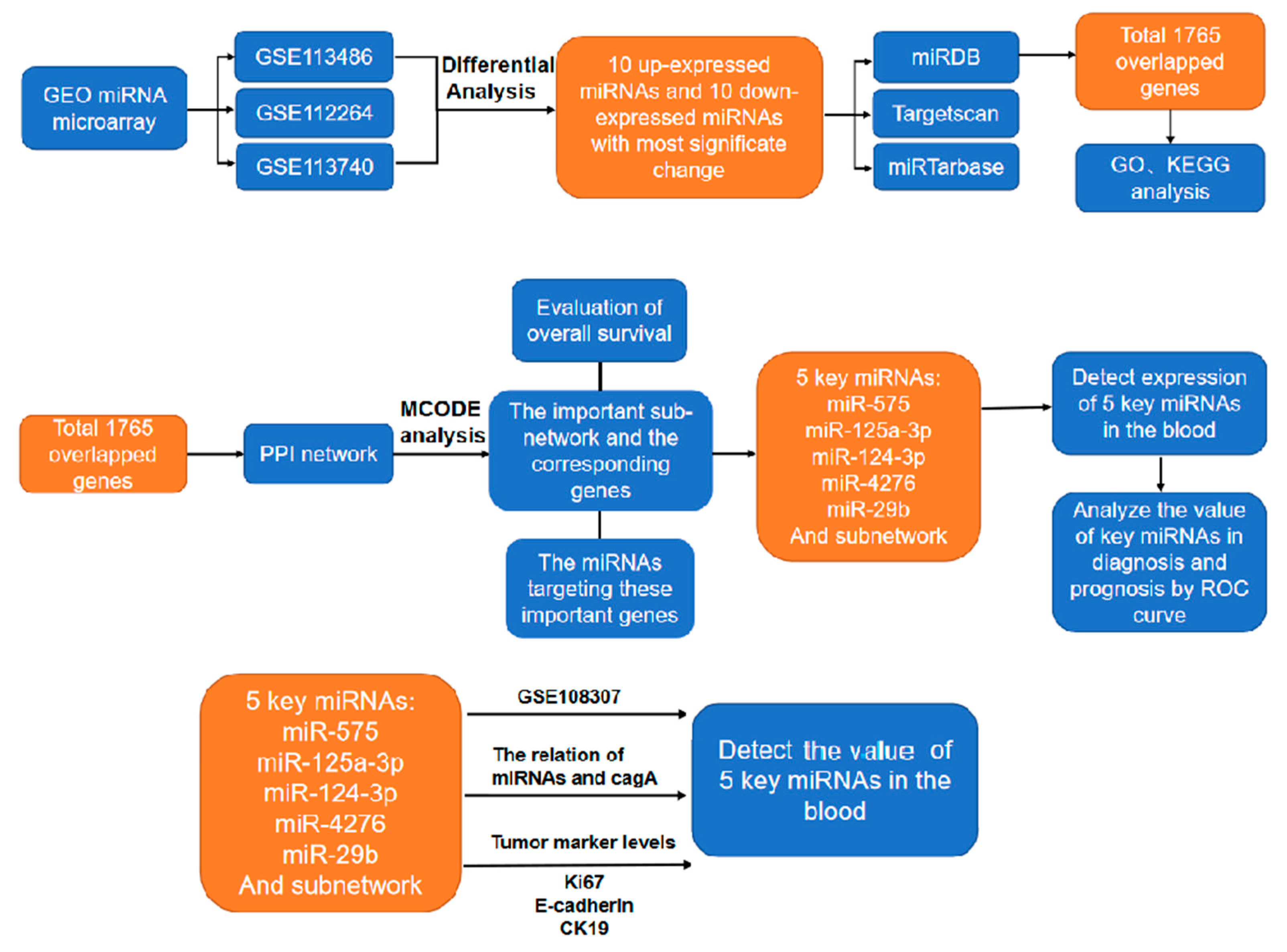 Preprints 81716 g001