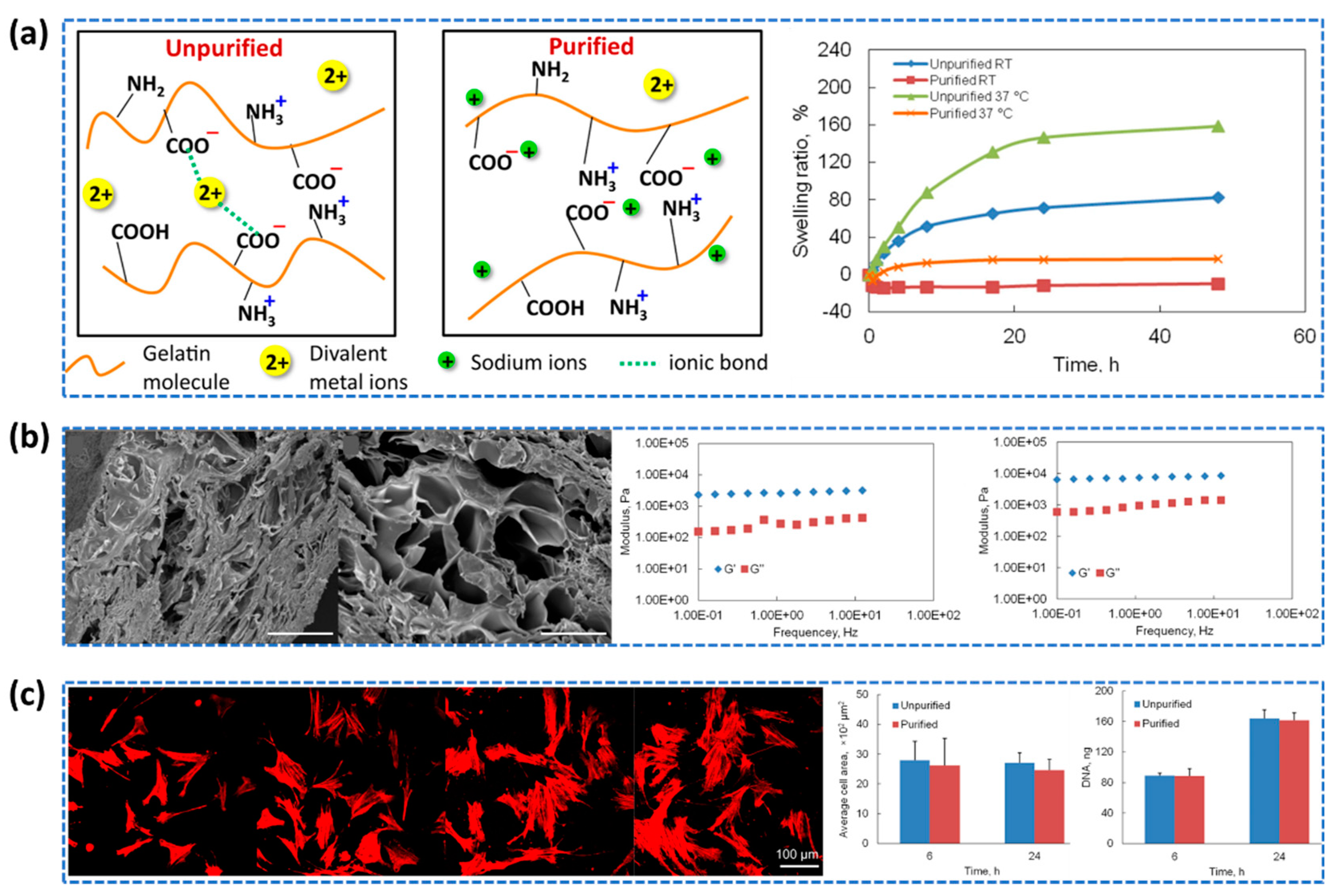 Preprints 87848 g005