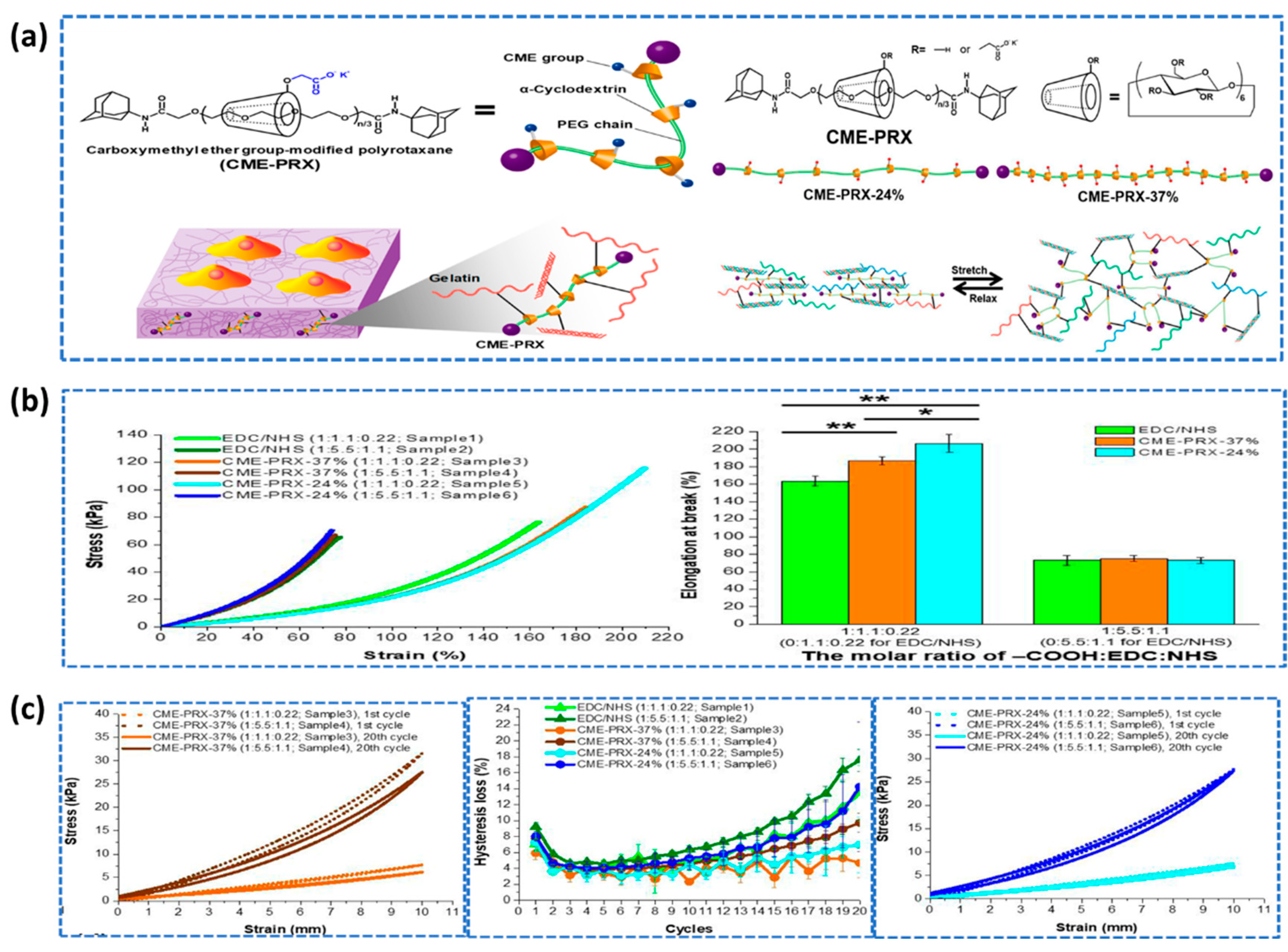 Preprints 87848 g006