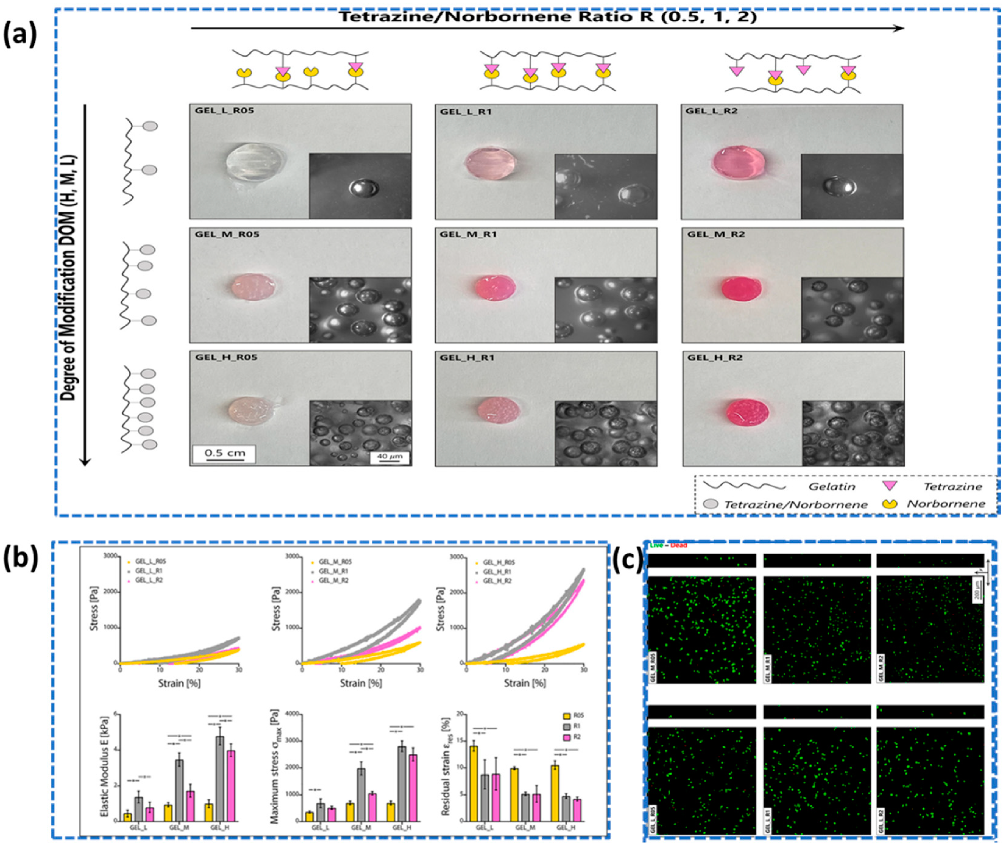 Preprints 87848 g007