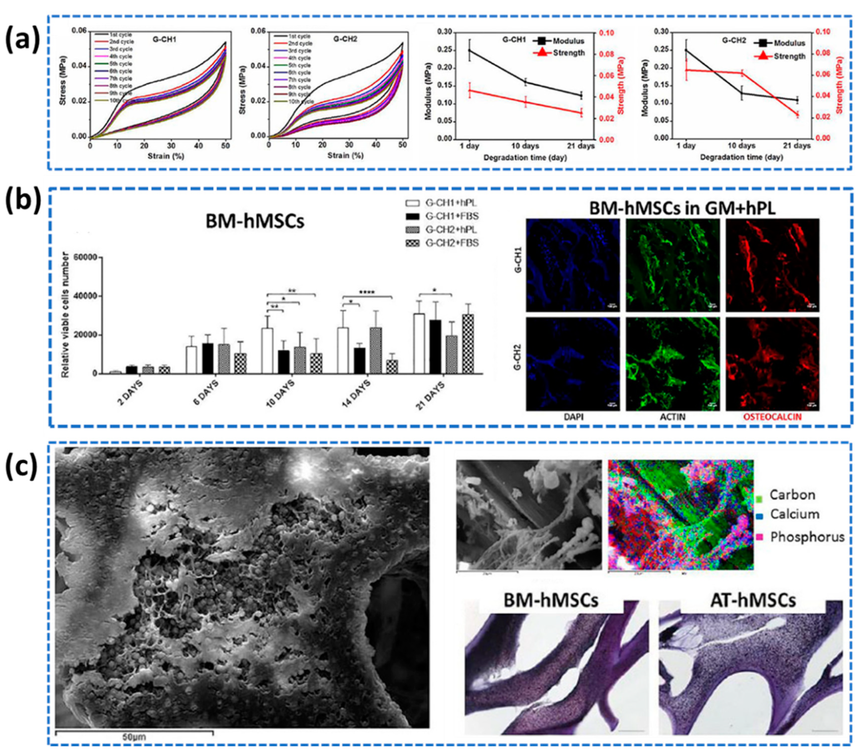 Preprints 87848 g015