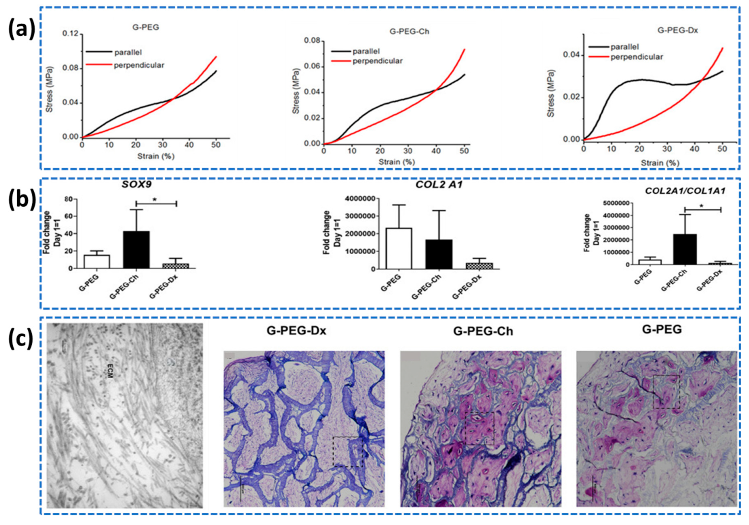 Preprints 87848 g016