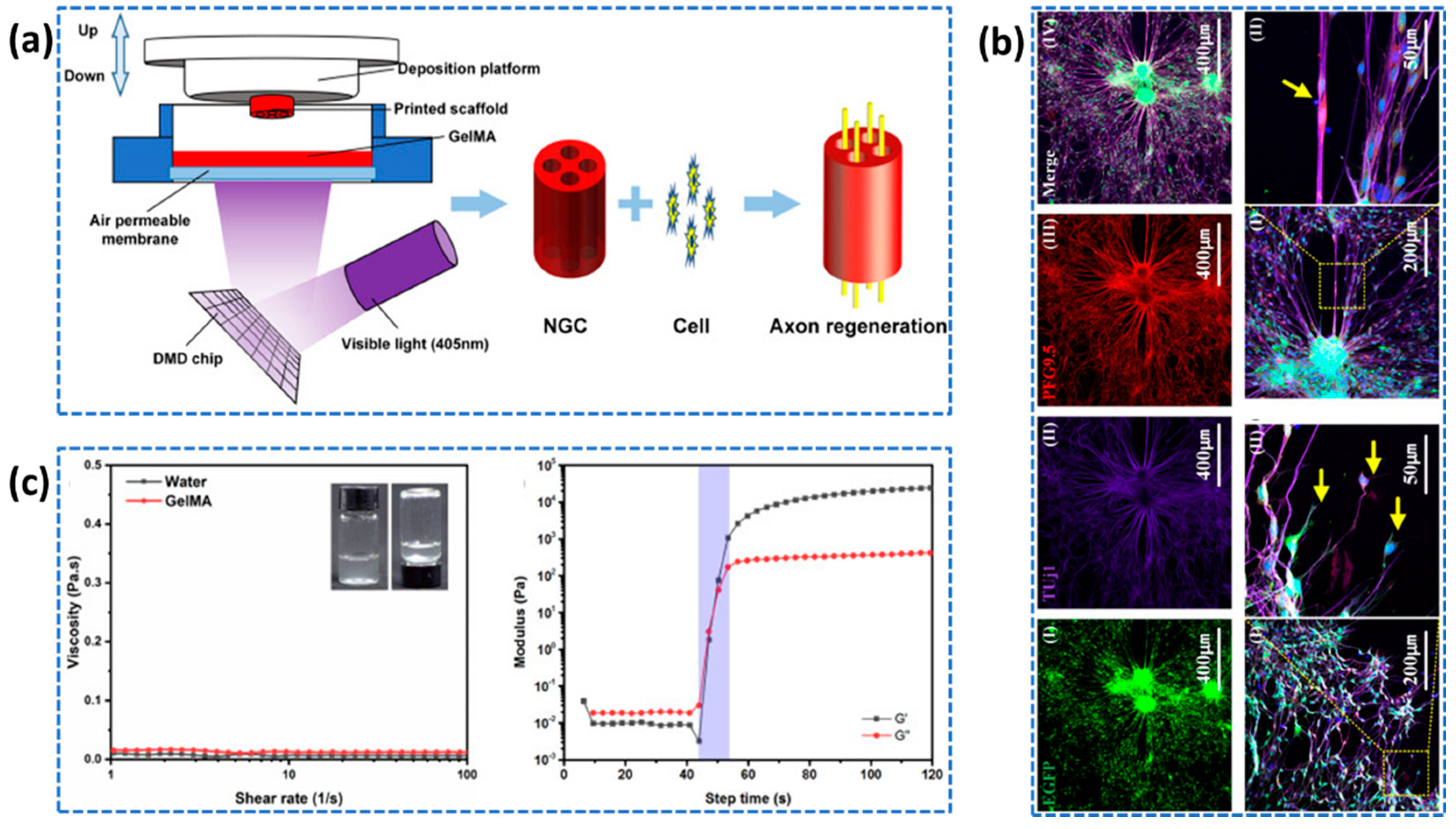 Preprints 87848 g018