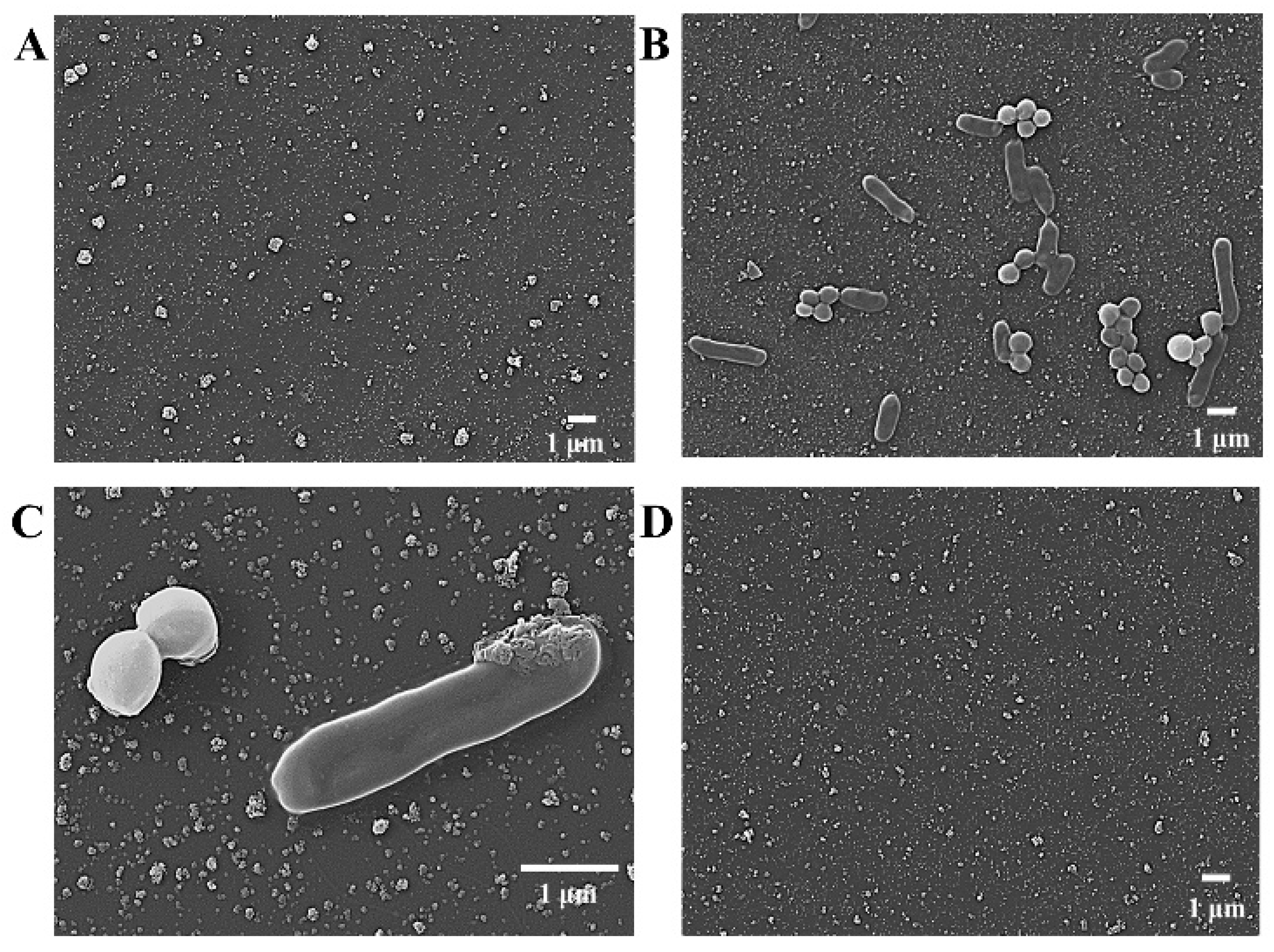 Preprints 81924 g001