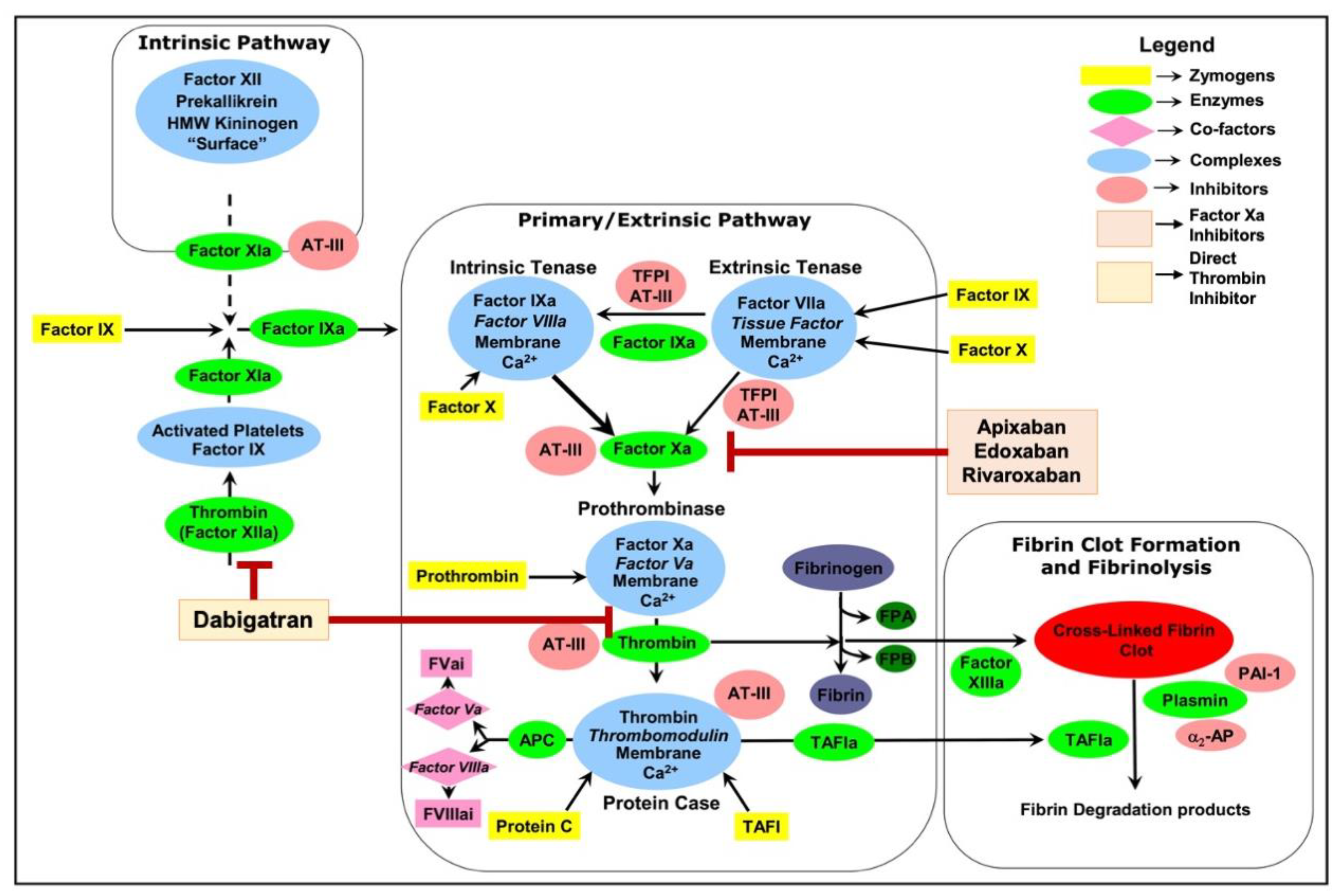 Preprints 109733 g001