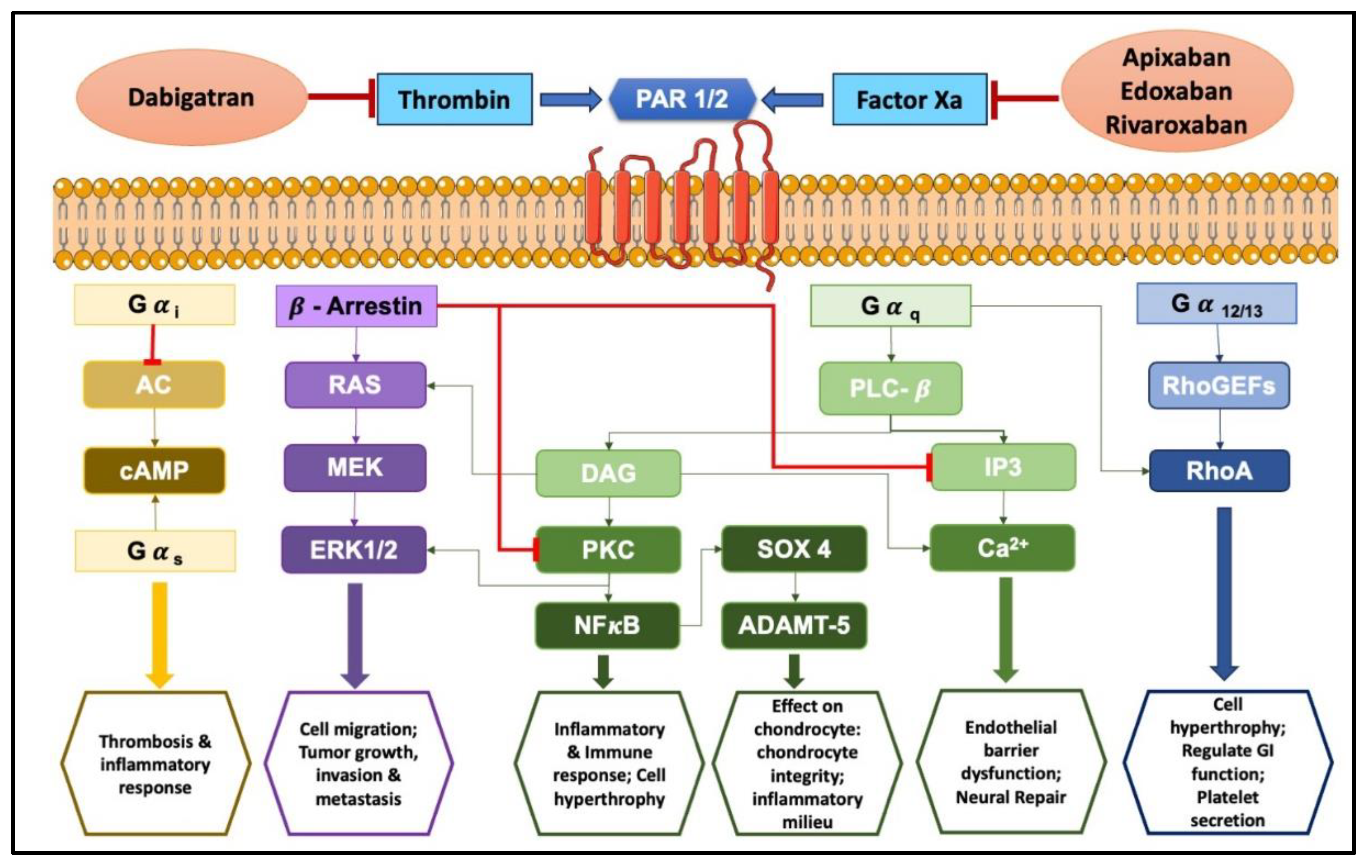 Preprints 109733 g002