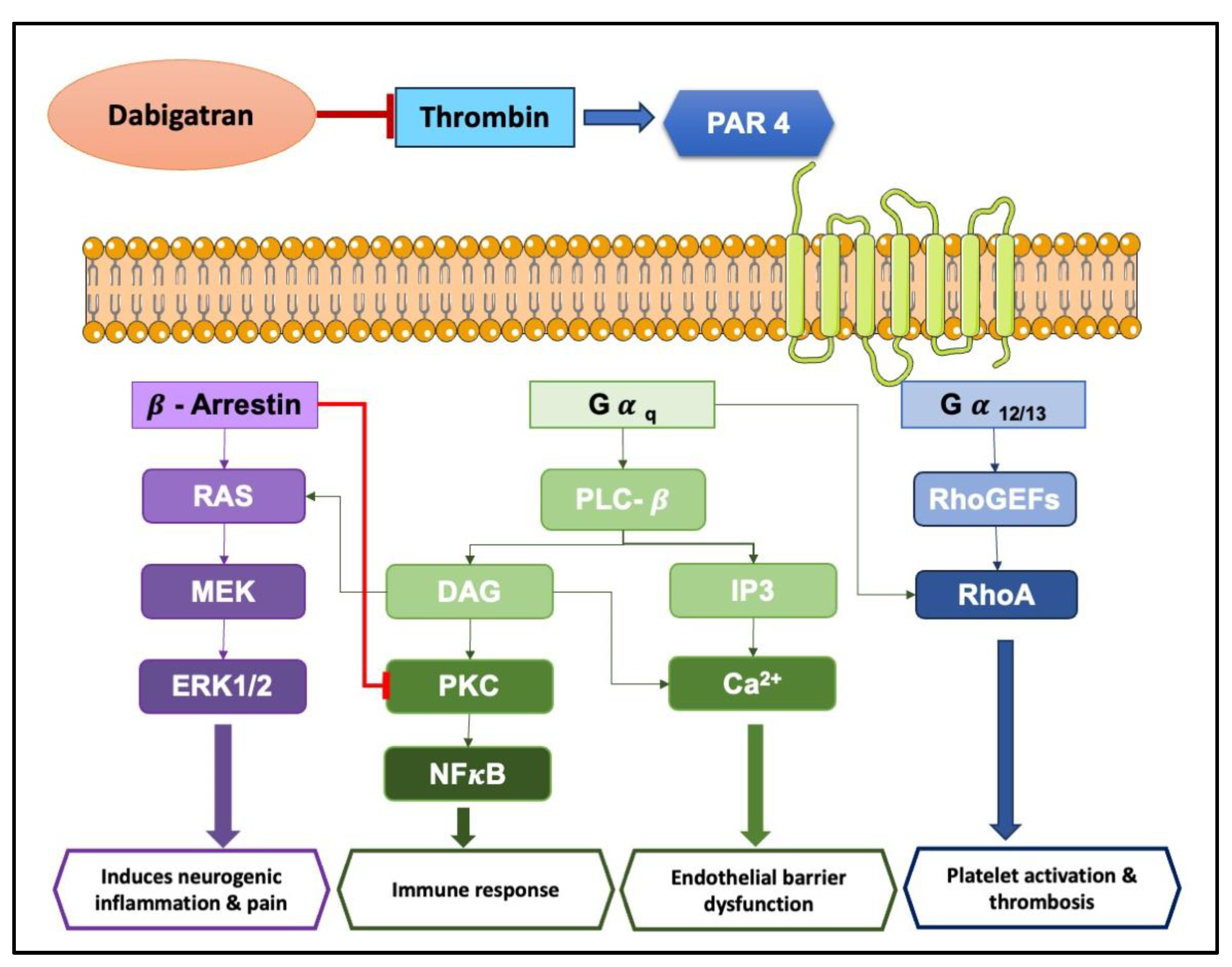 Preprints 109733 g003