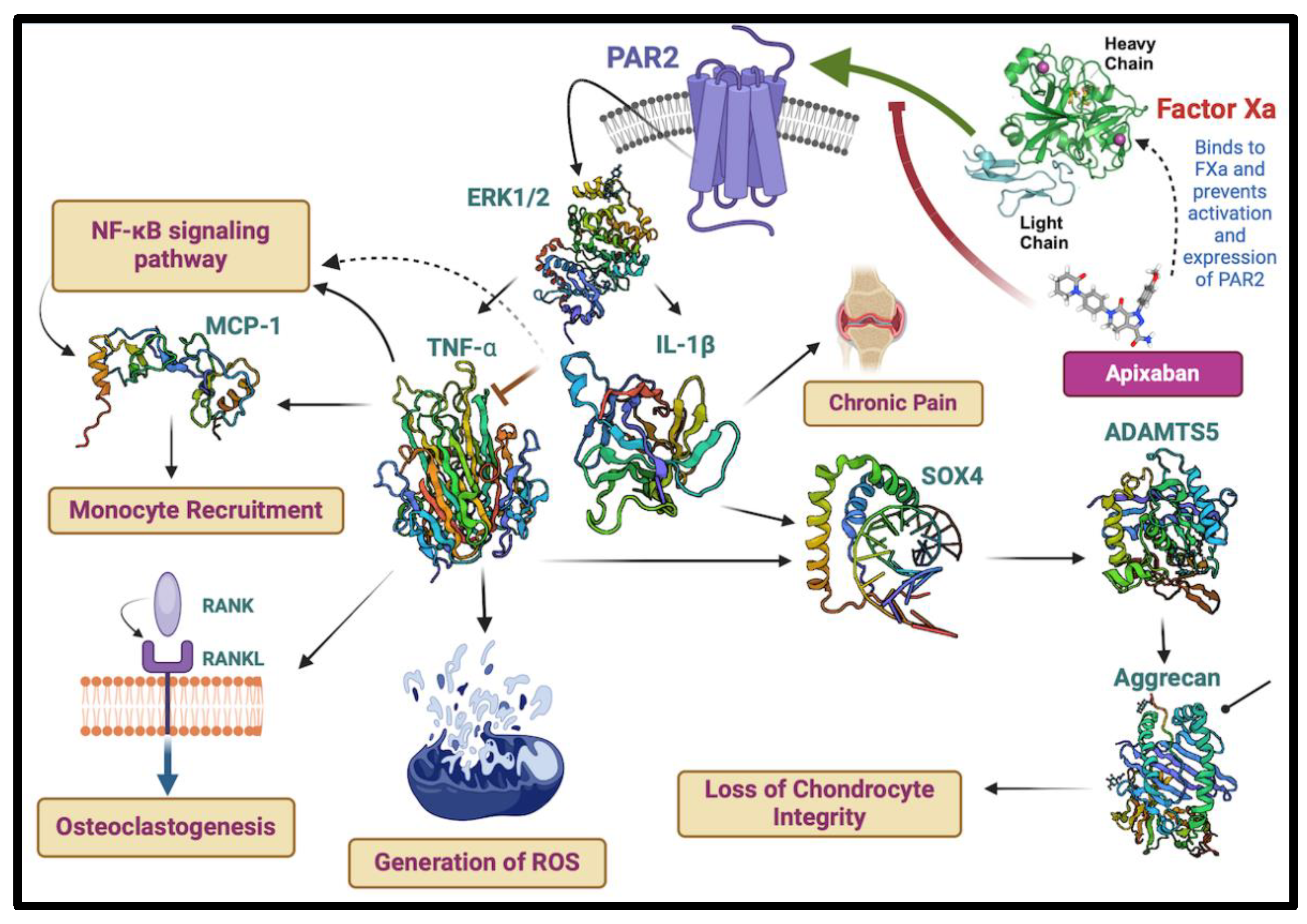 Preprints 109733 g004