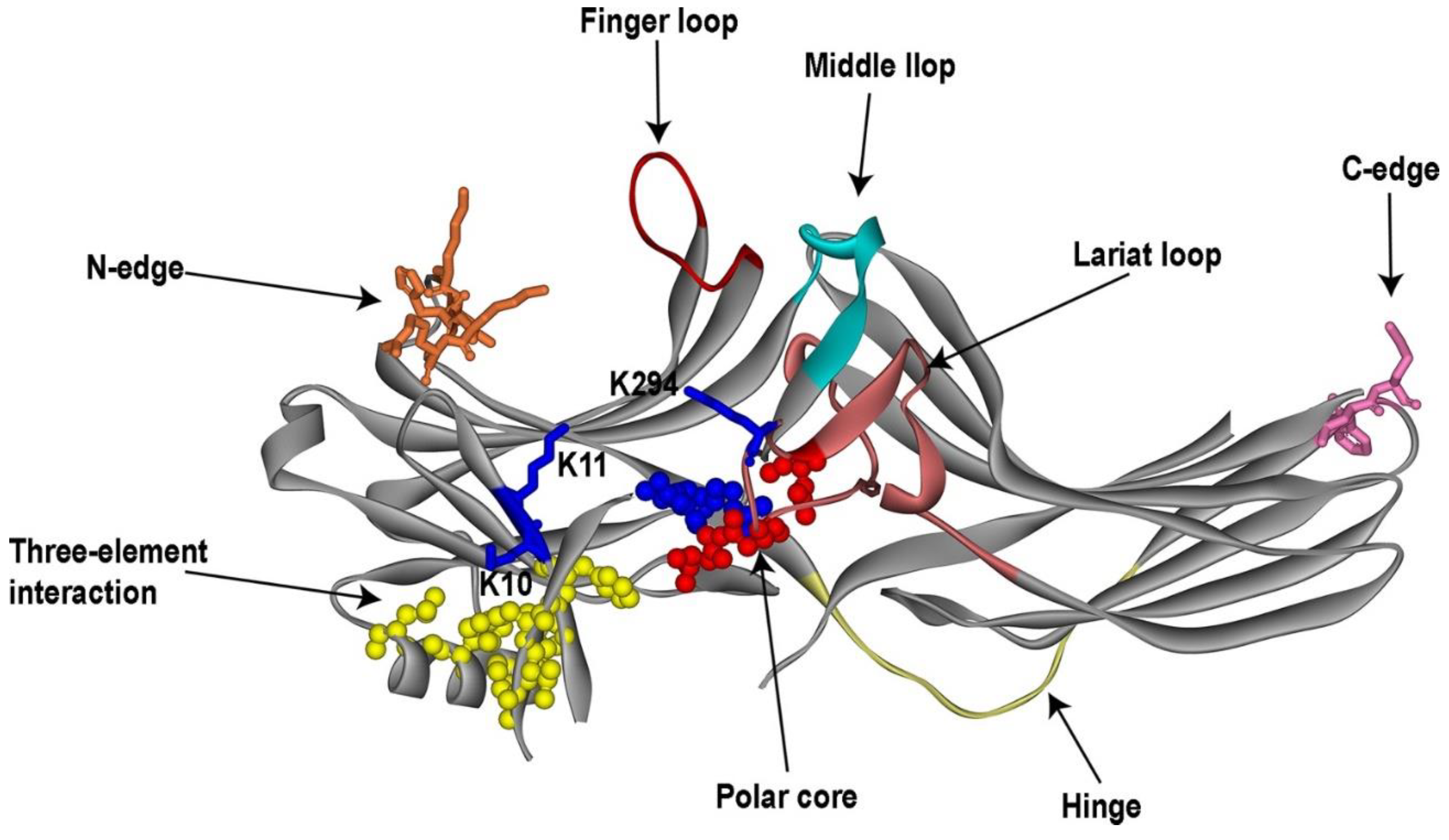 Preprints 105417 g001