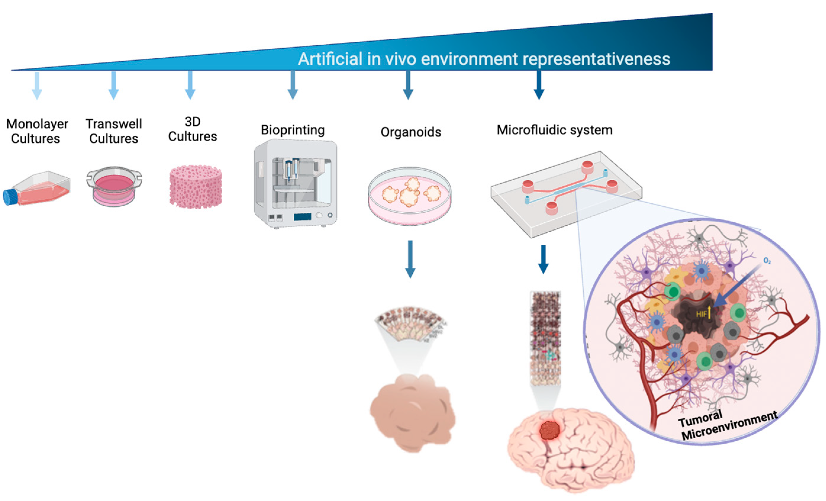 Preprints 120924 g001