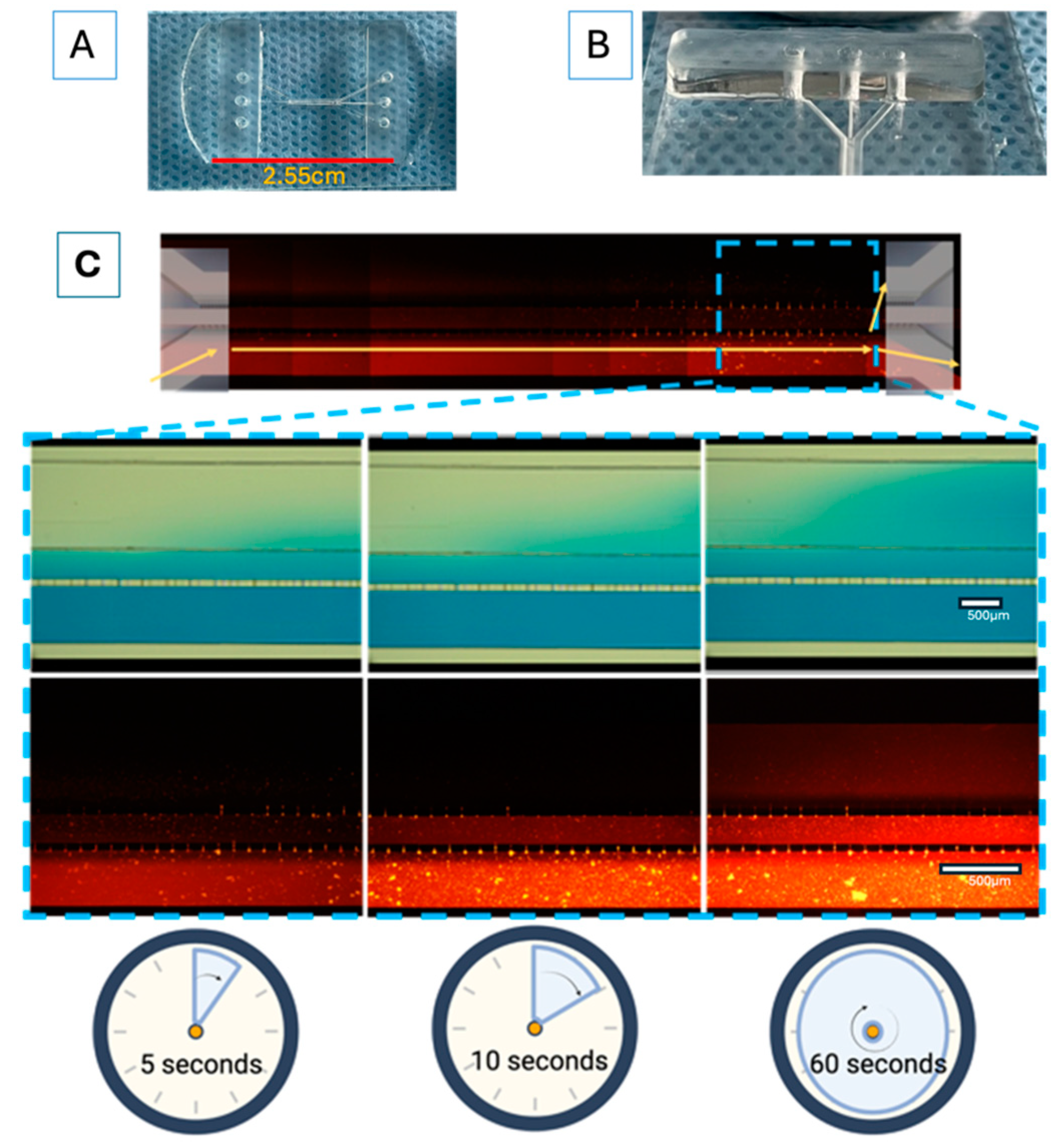 Preprints 120924 g003