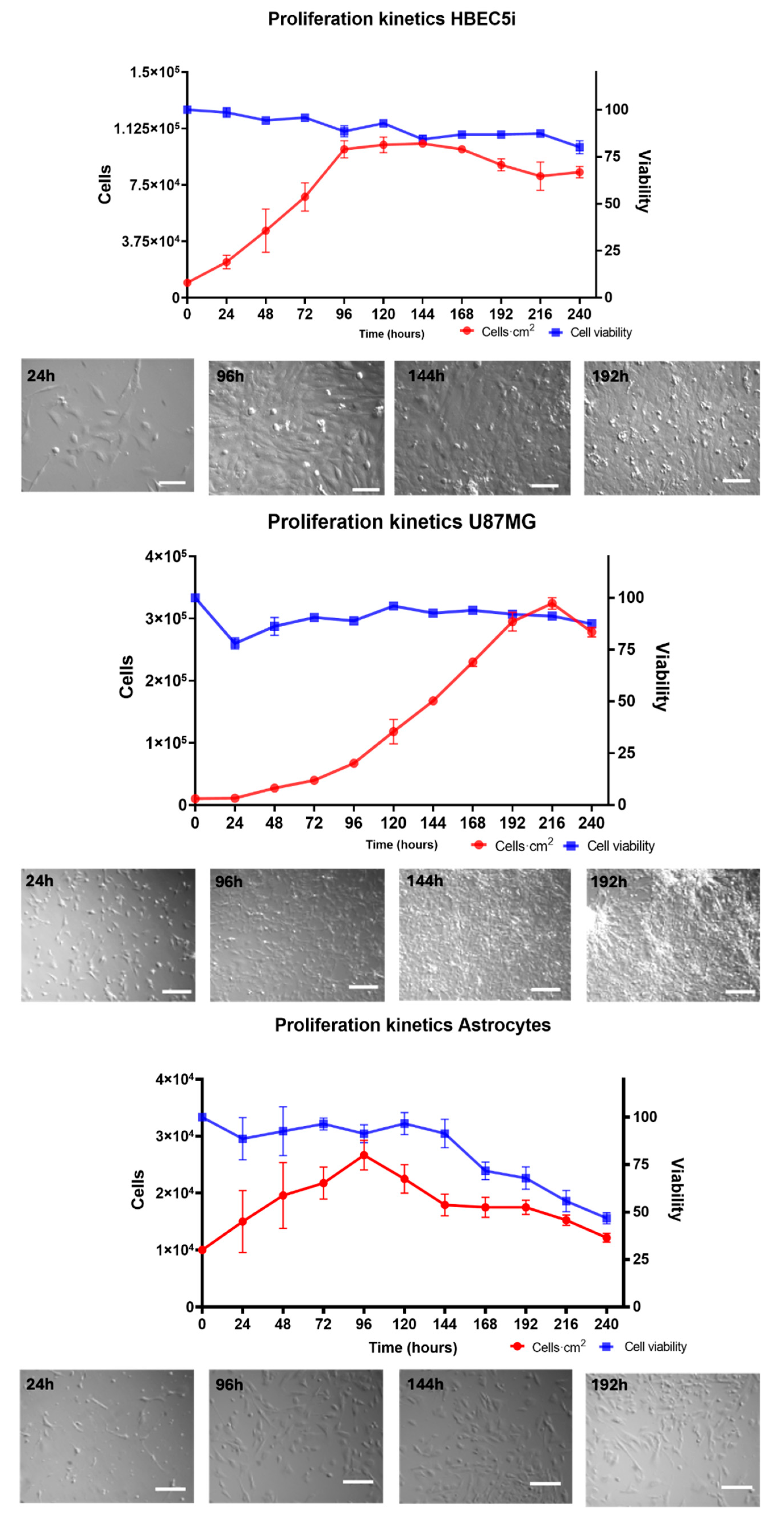 Preprints 120924 g004