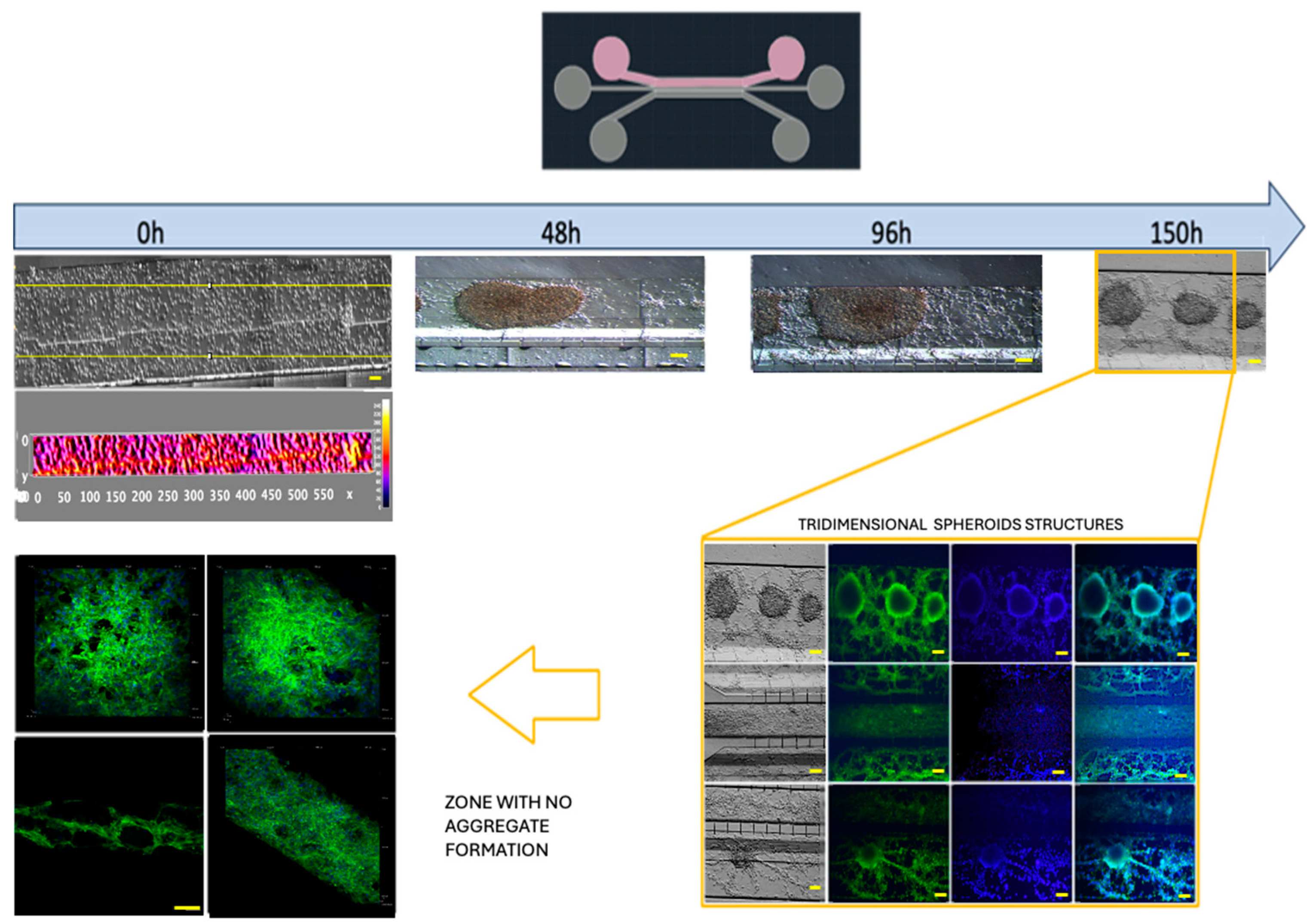 Preprints 120924 g006