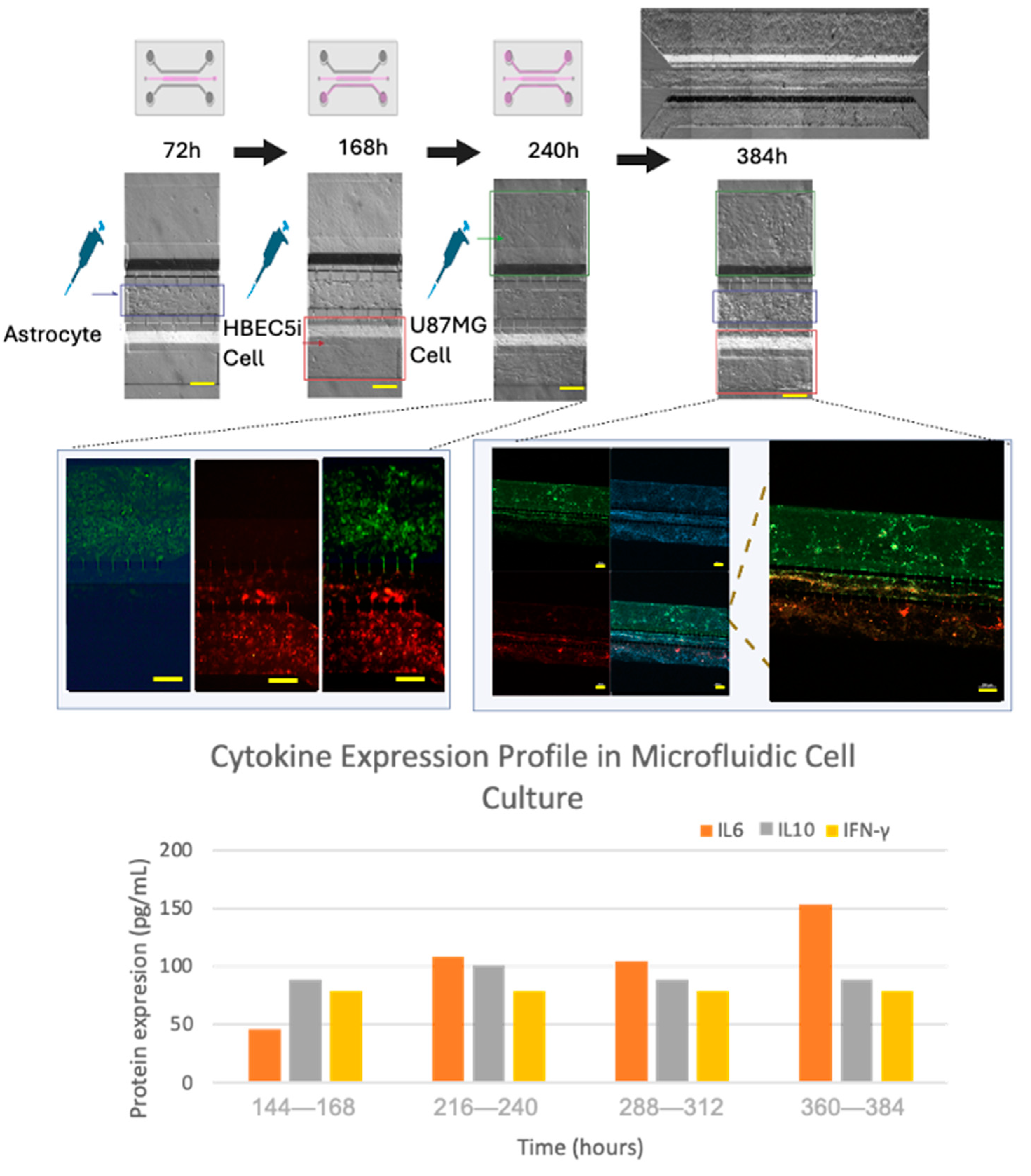 Preprints 120924 g008