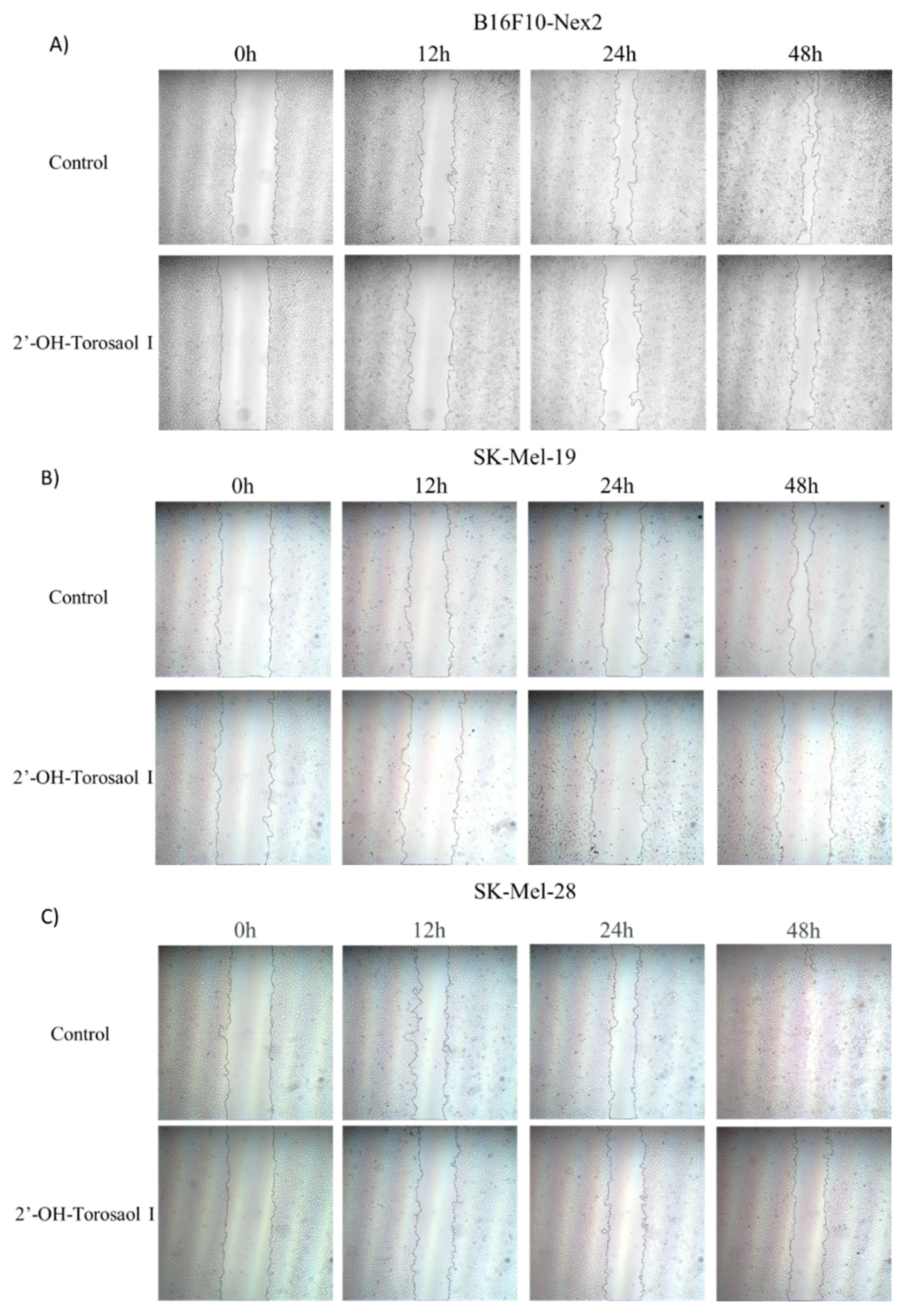 Preprints 74388 g003a