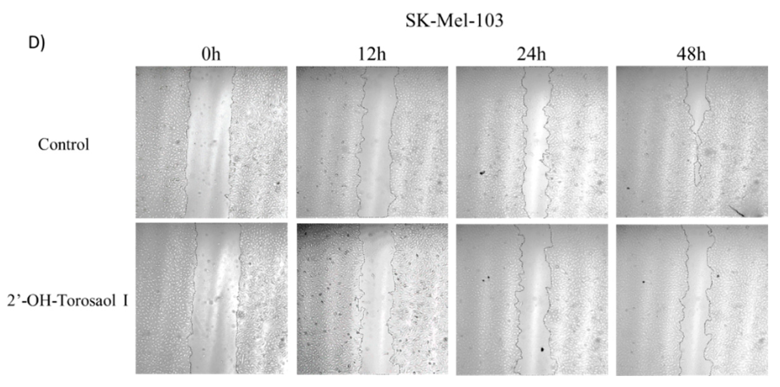 Preprints 74388 g003b