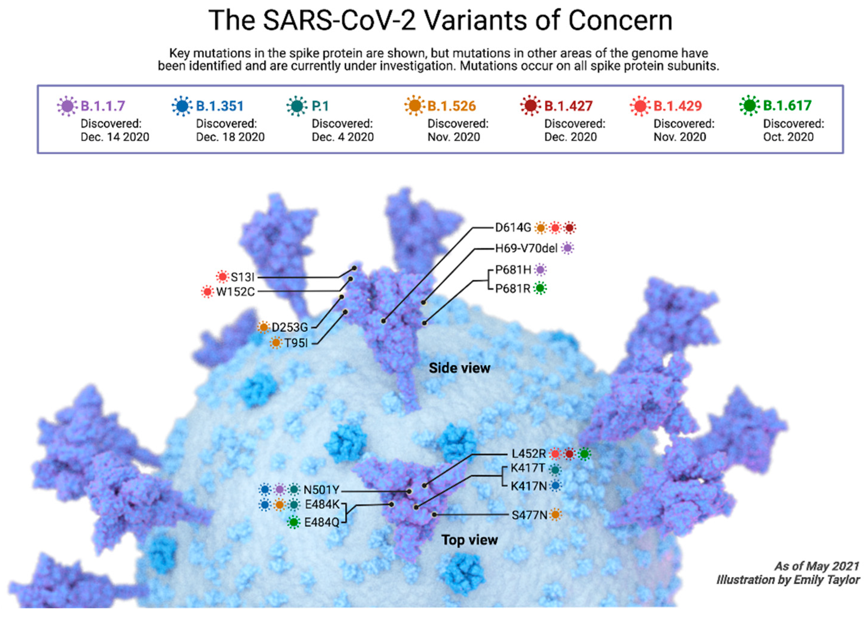 Preprints 119648 g003