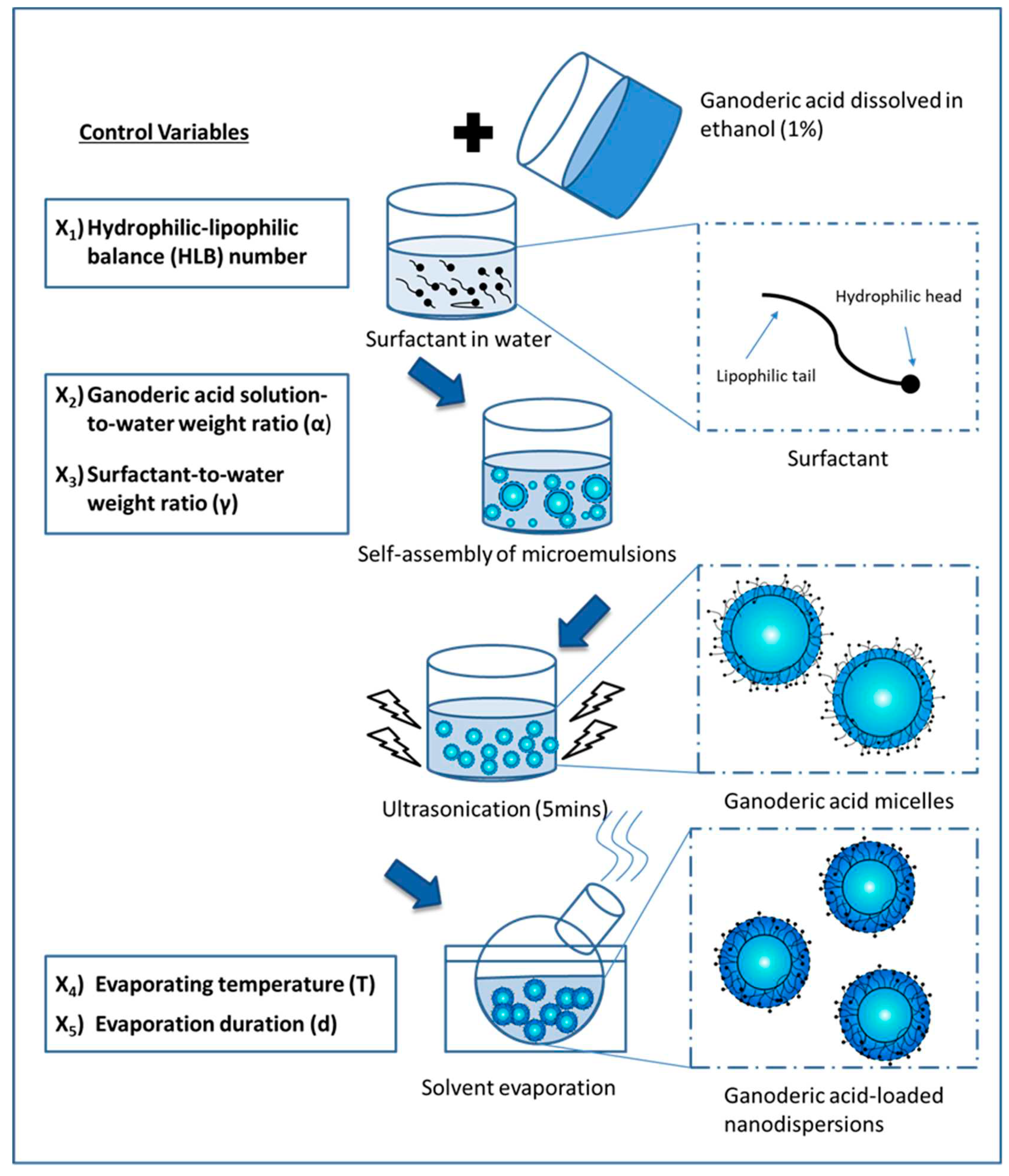 Preprints 70808 g002