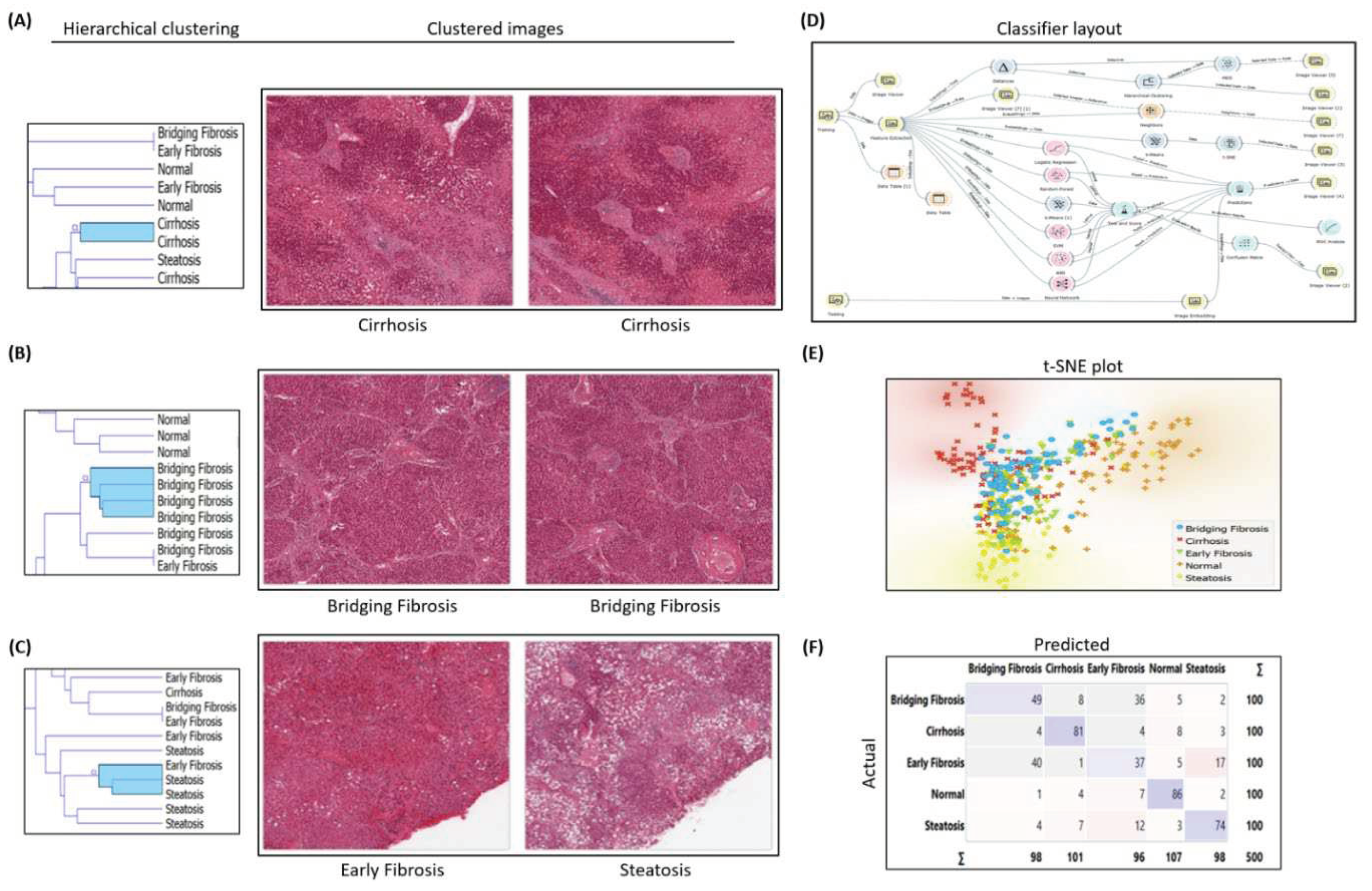 Preprints 98526 g001