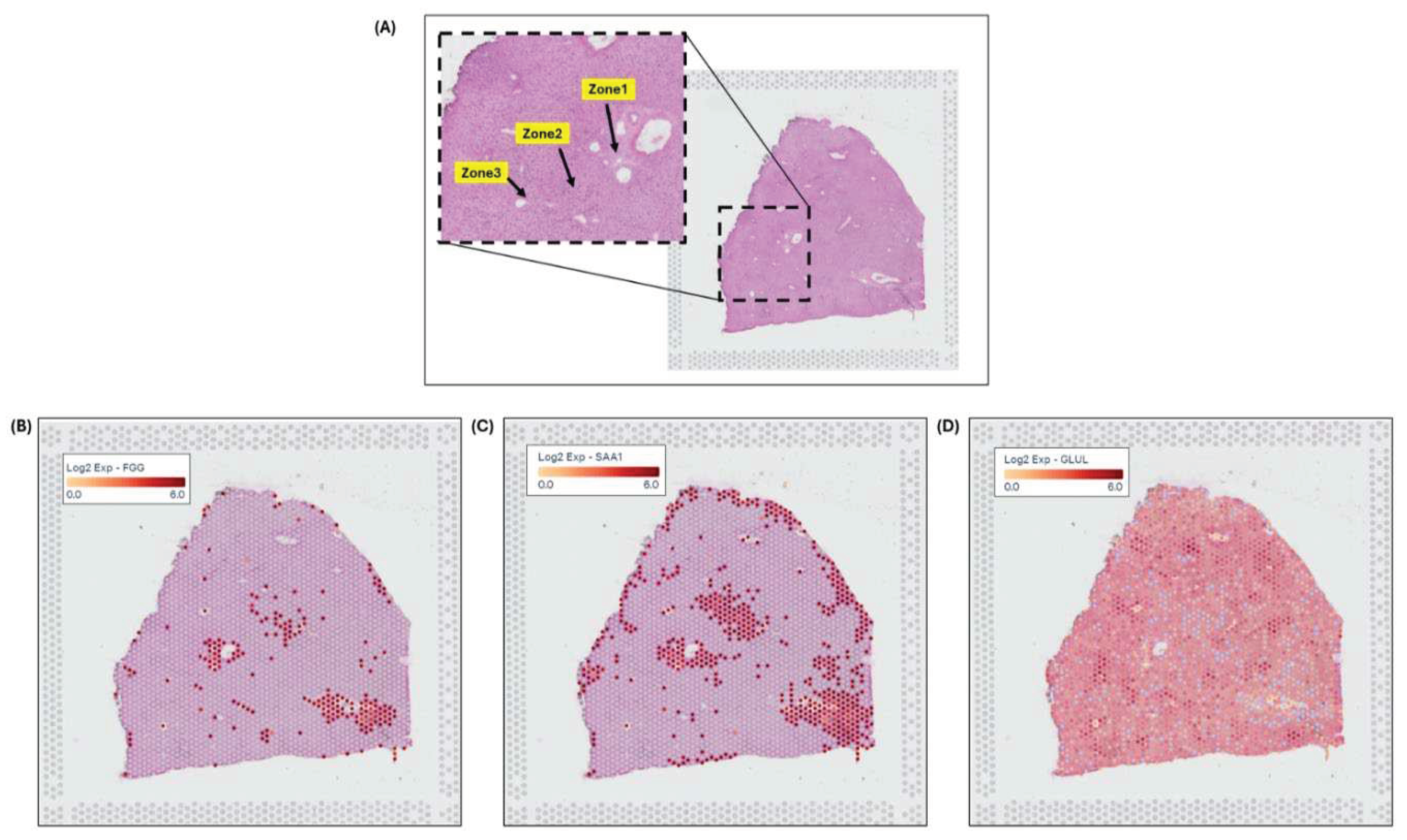 Preprints 98526 g004