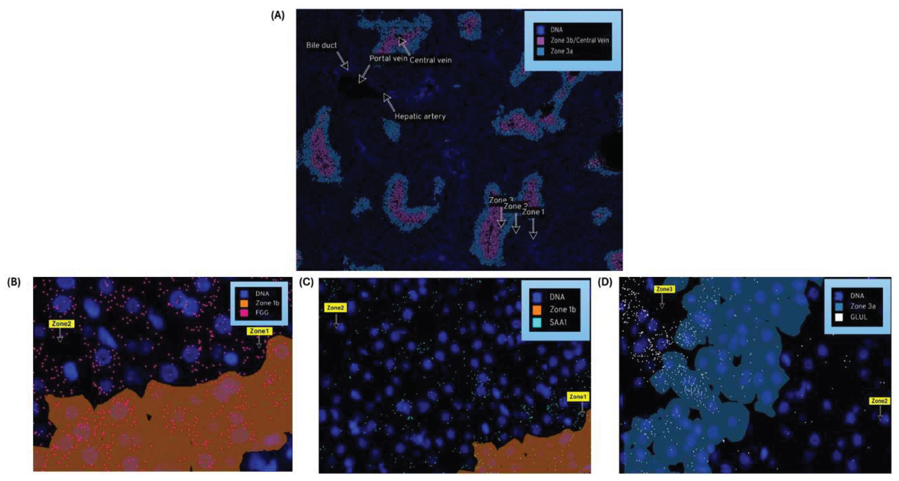 Preprints 98526 g005