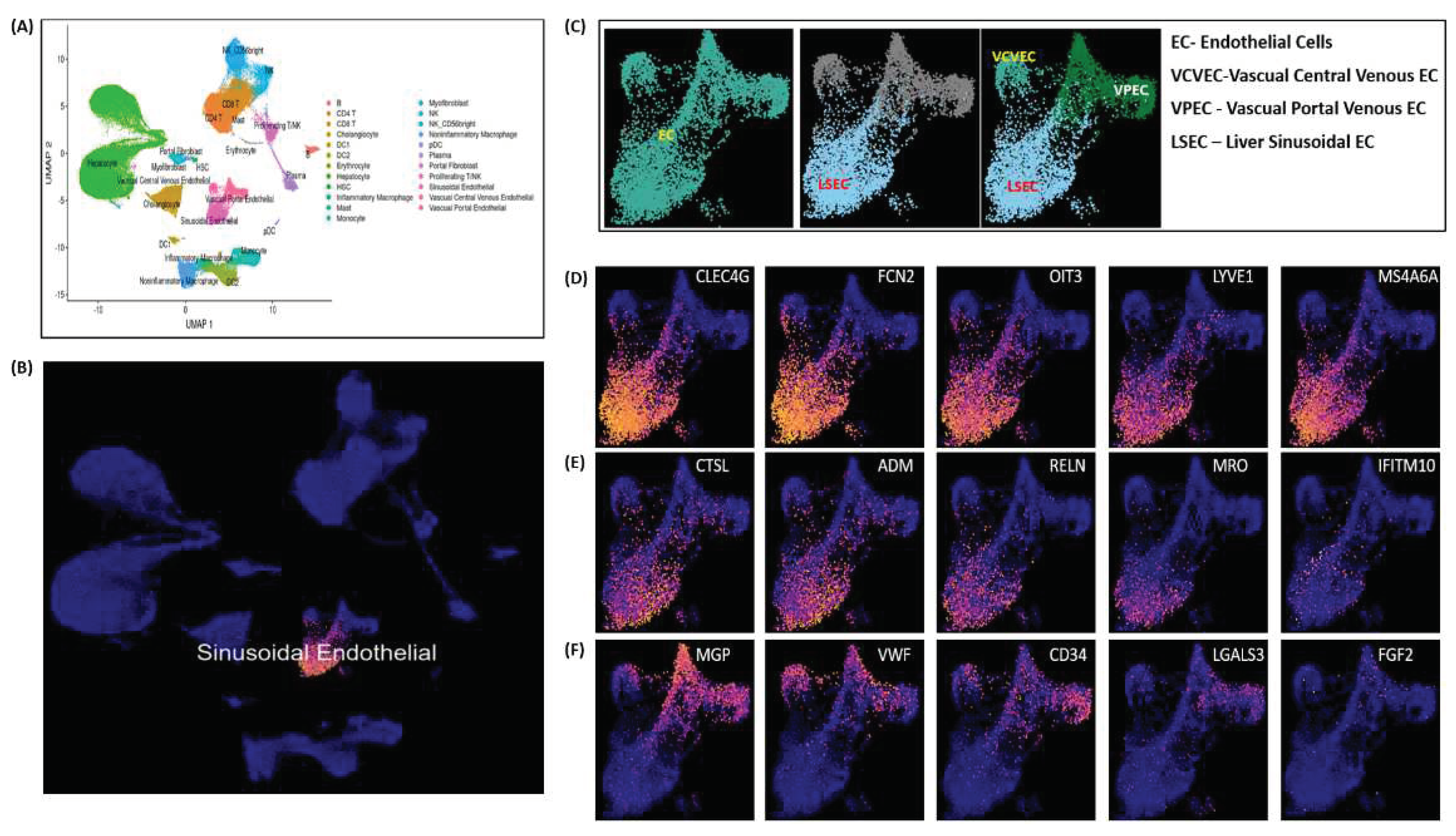 Preprints 98526 g006