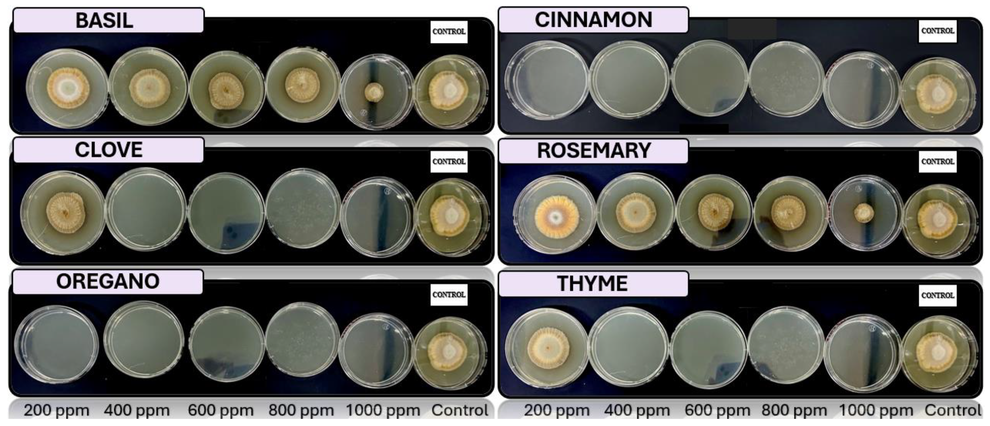 Preprints 116433 g004