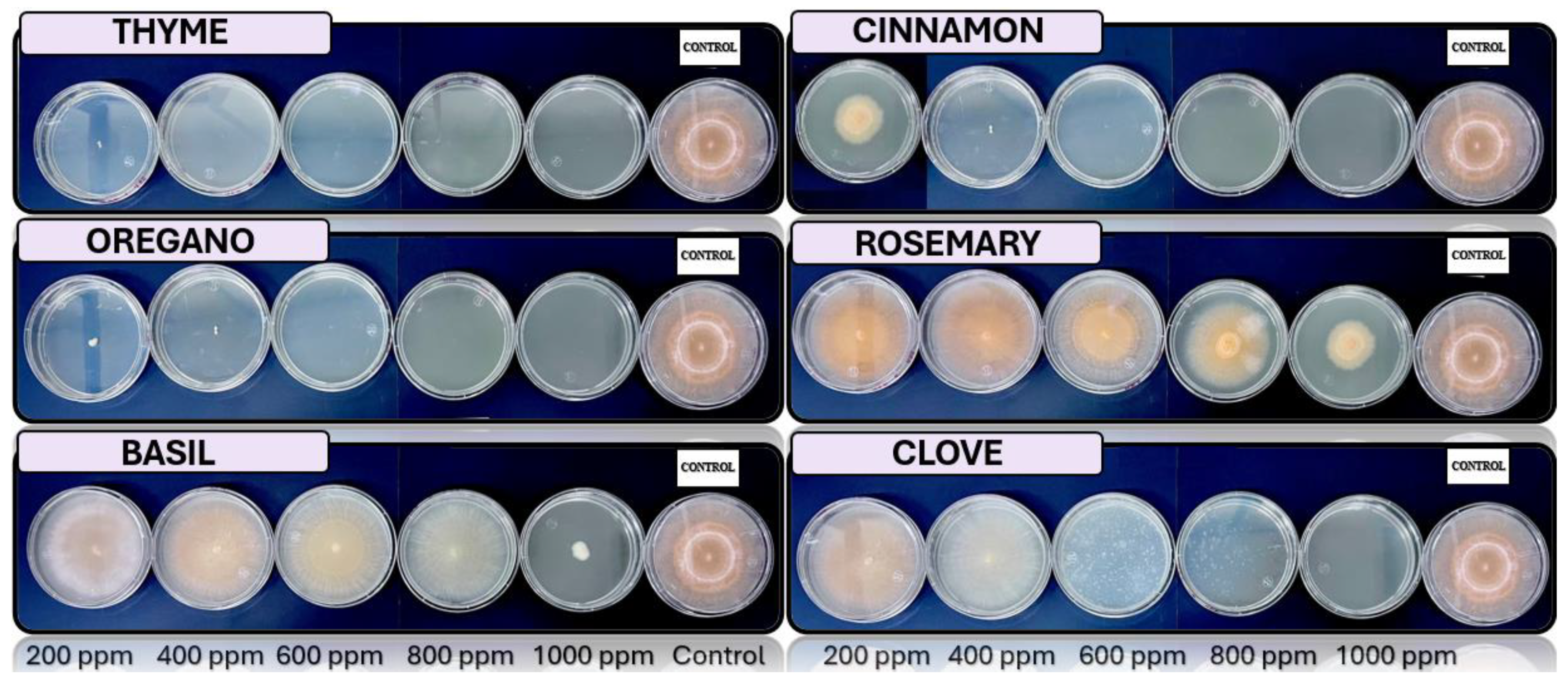 Preprints 116433 g005