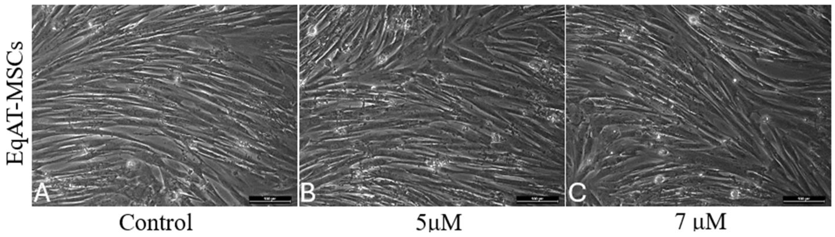 Preprints 141058 g001