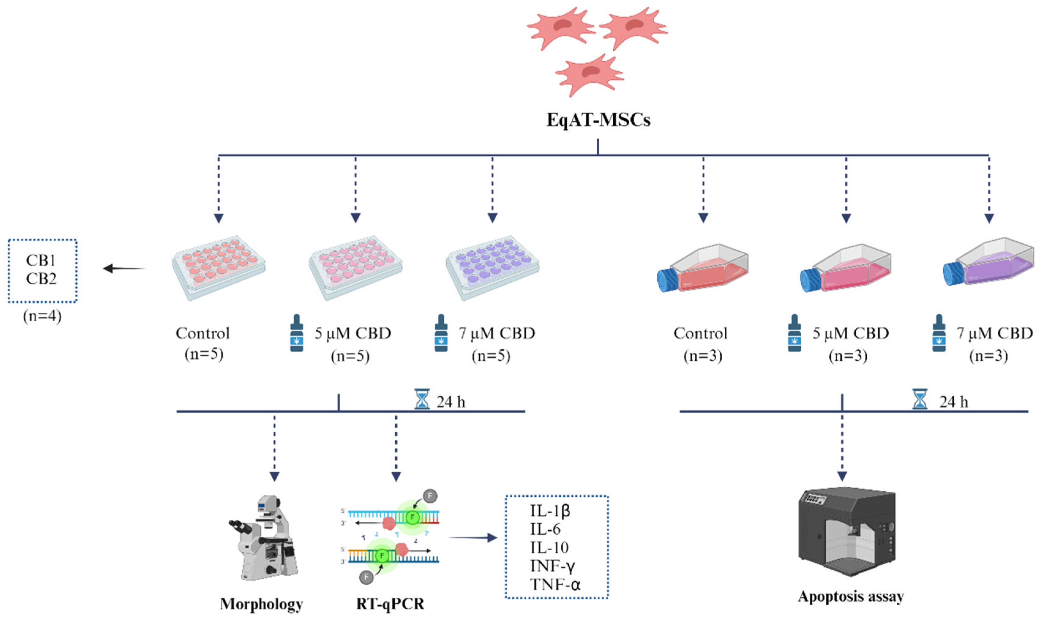 Preprints 141058 g005