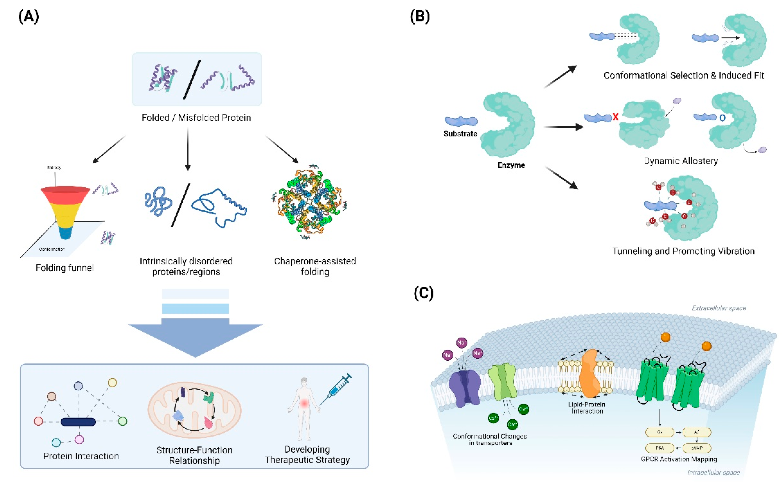 Preprints 114102 g003