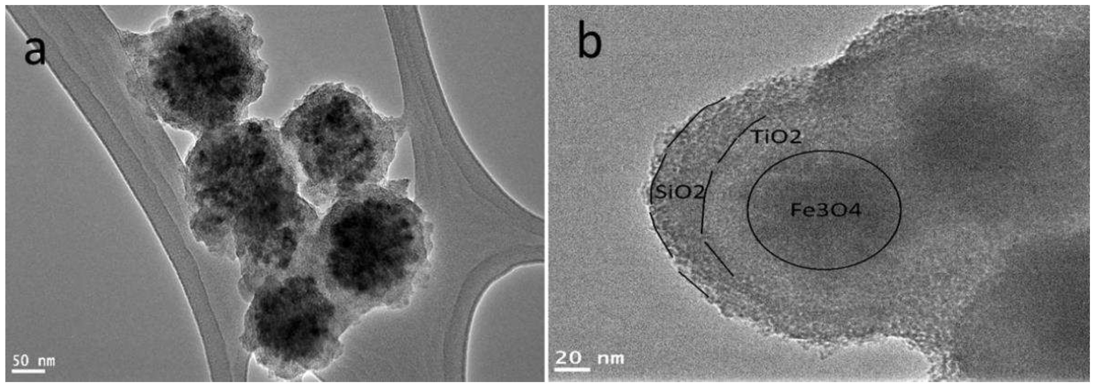 Preprints 81975 g002