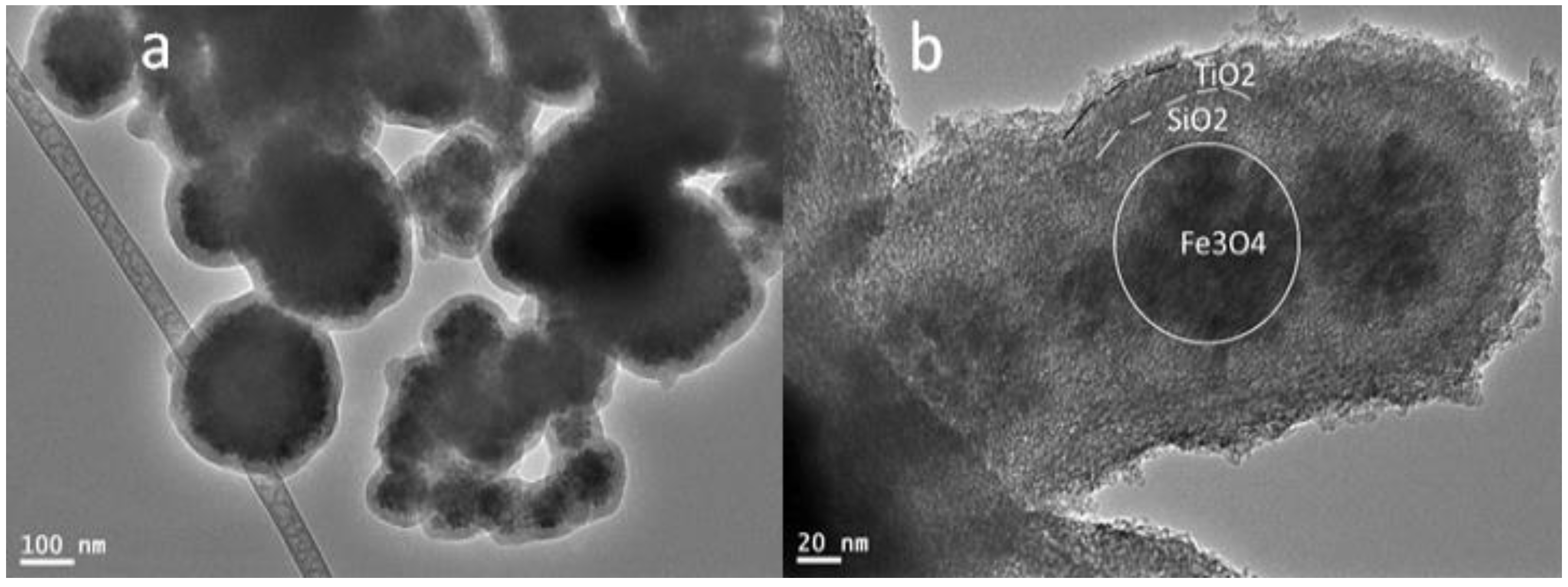 Preprints 81975 g003