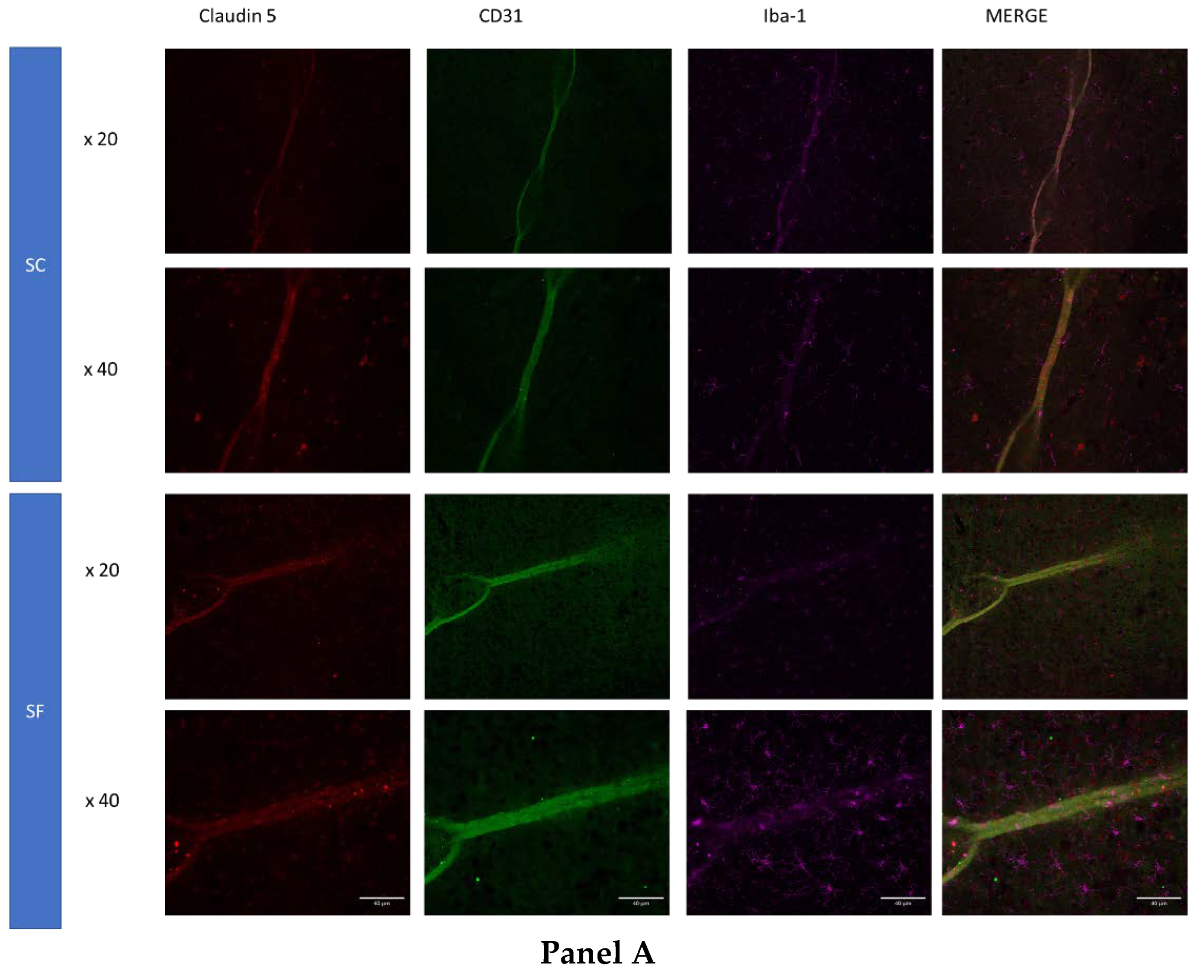 Preprints 71221 g004a