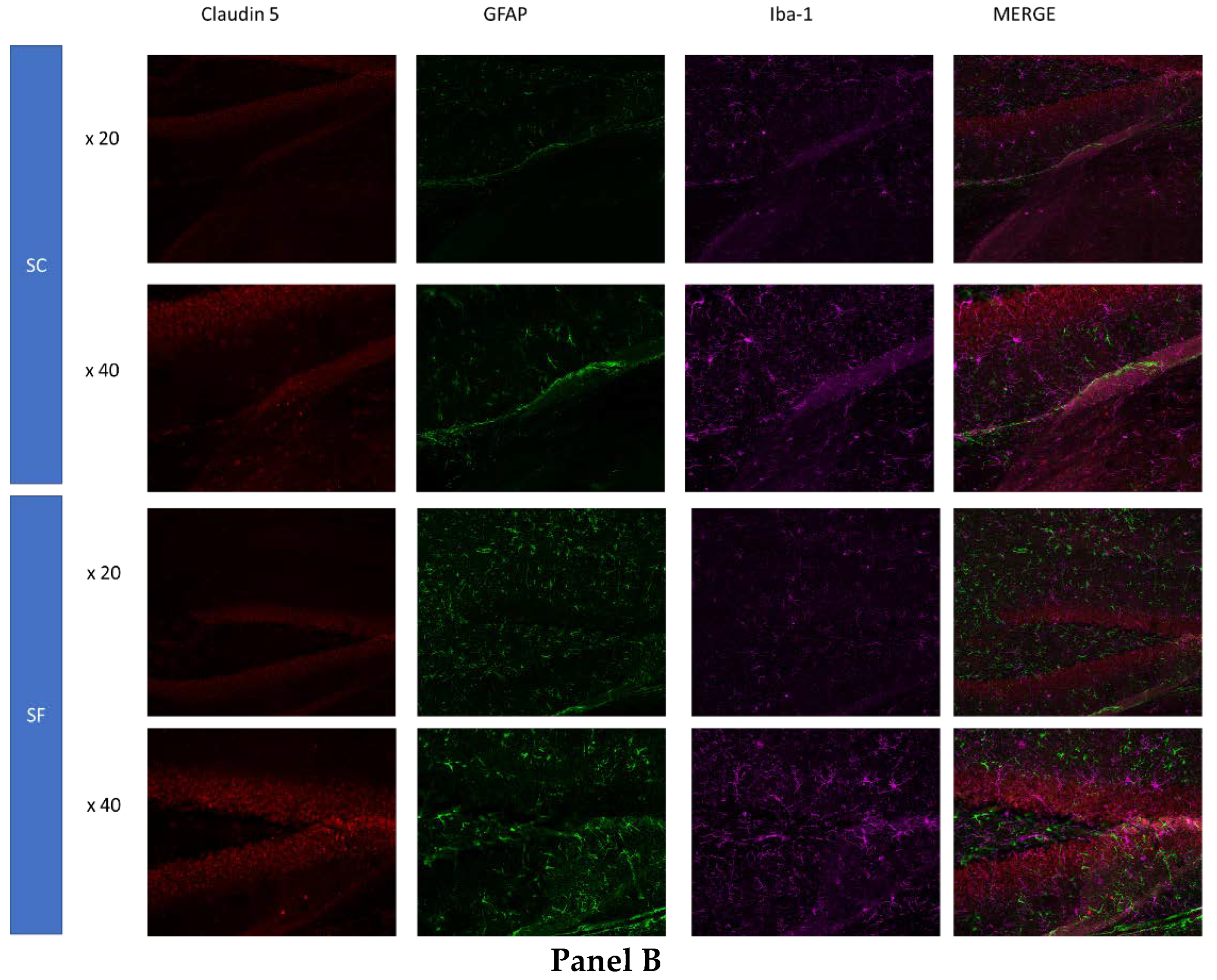 Preprints 71221 g004b