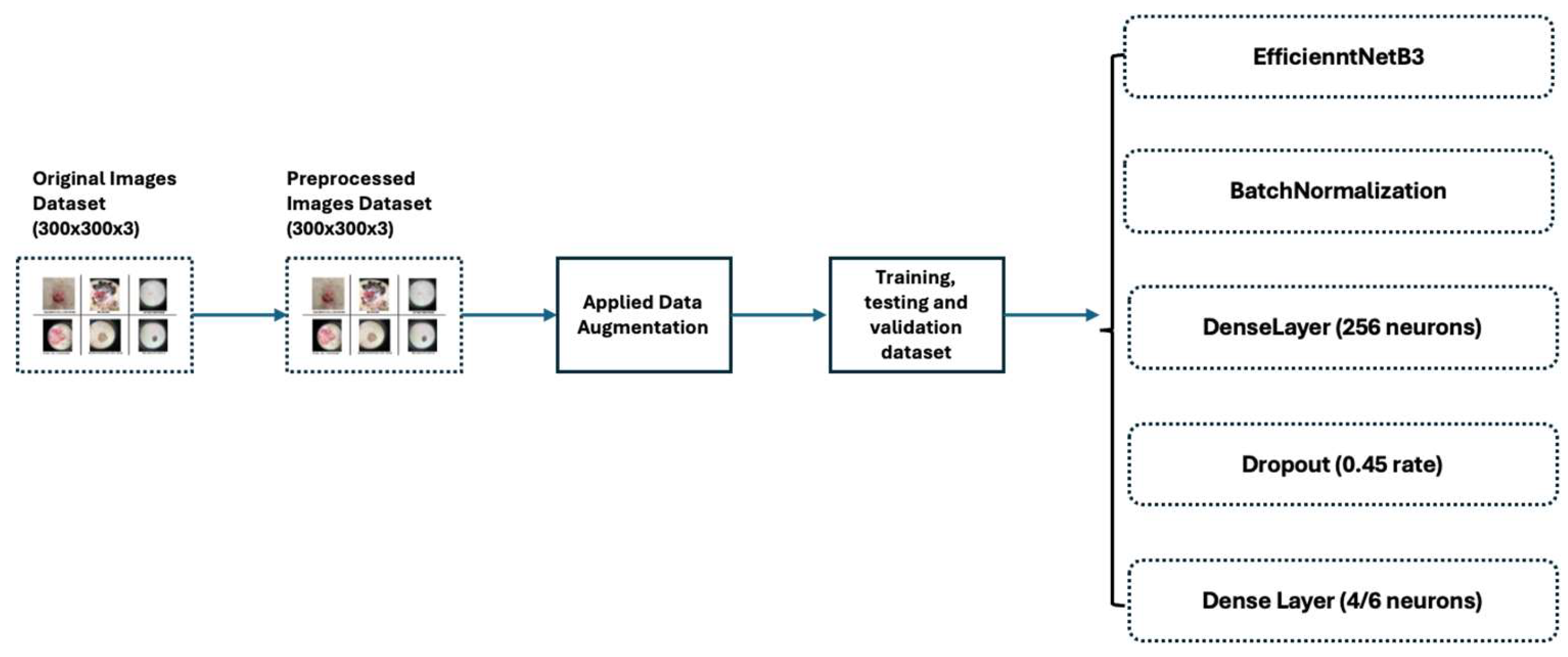 Preprints 112333 g002