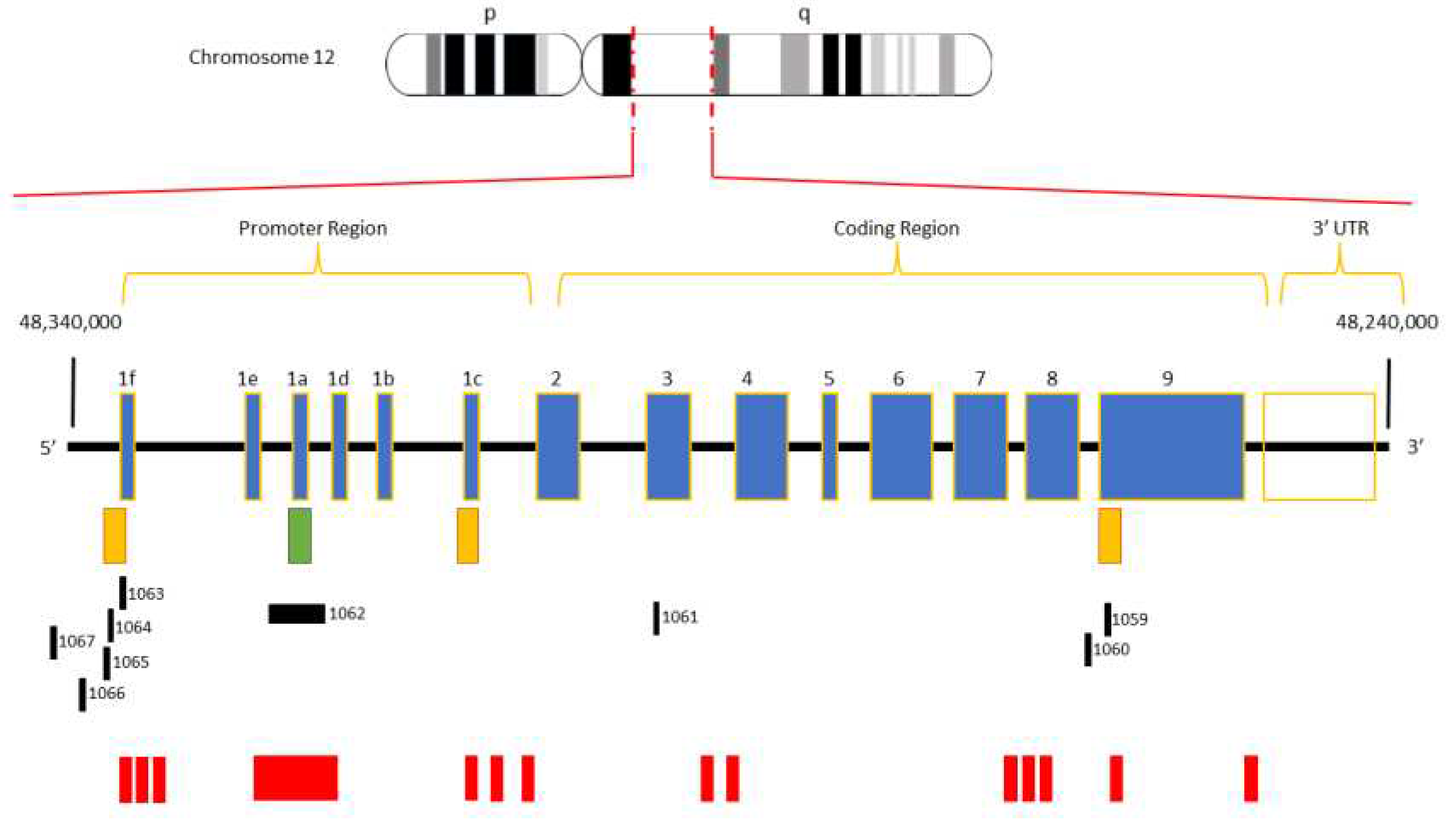 Preprints 90969 g001