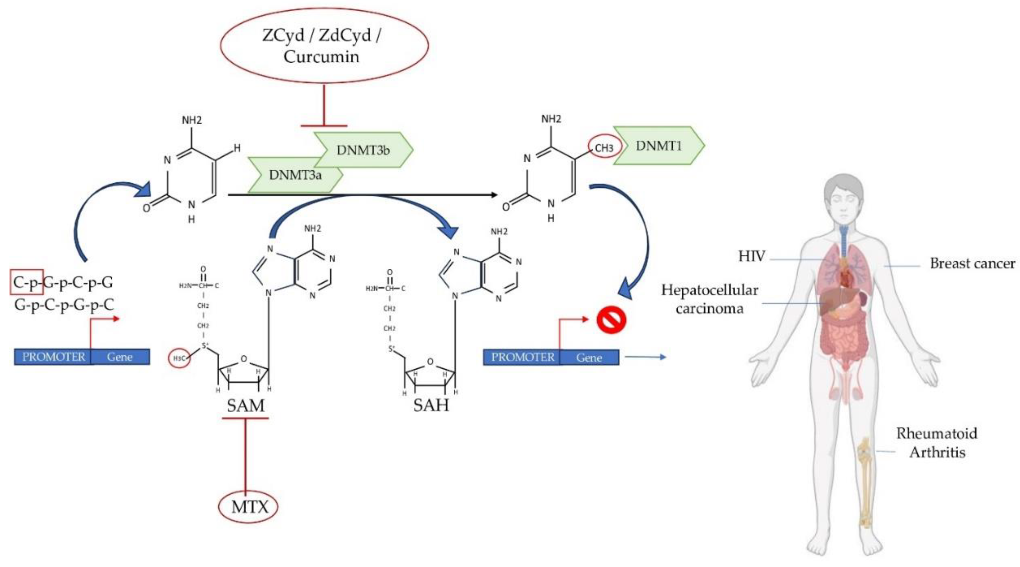 Preprints 90969 g002