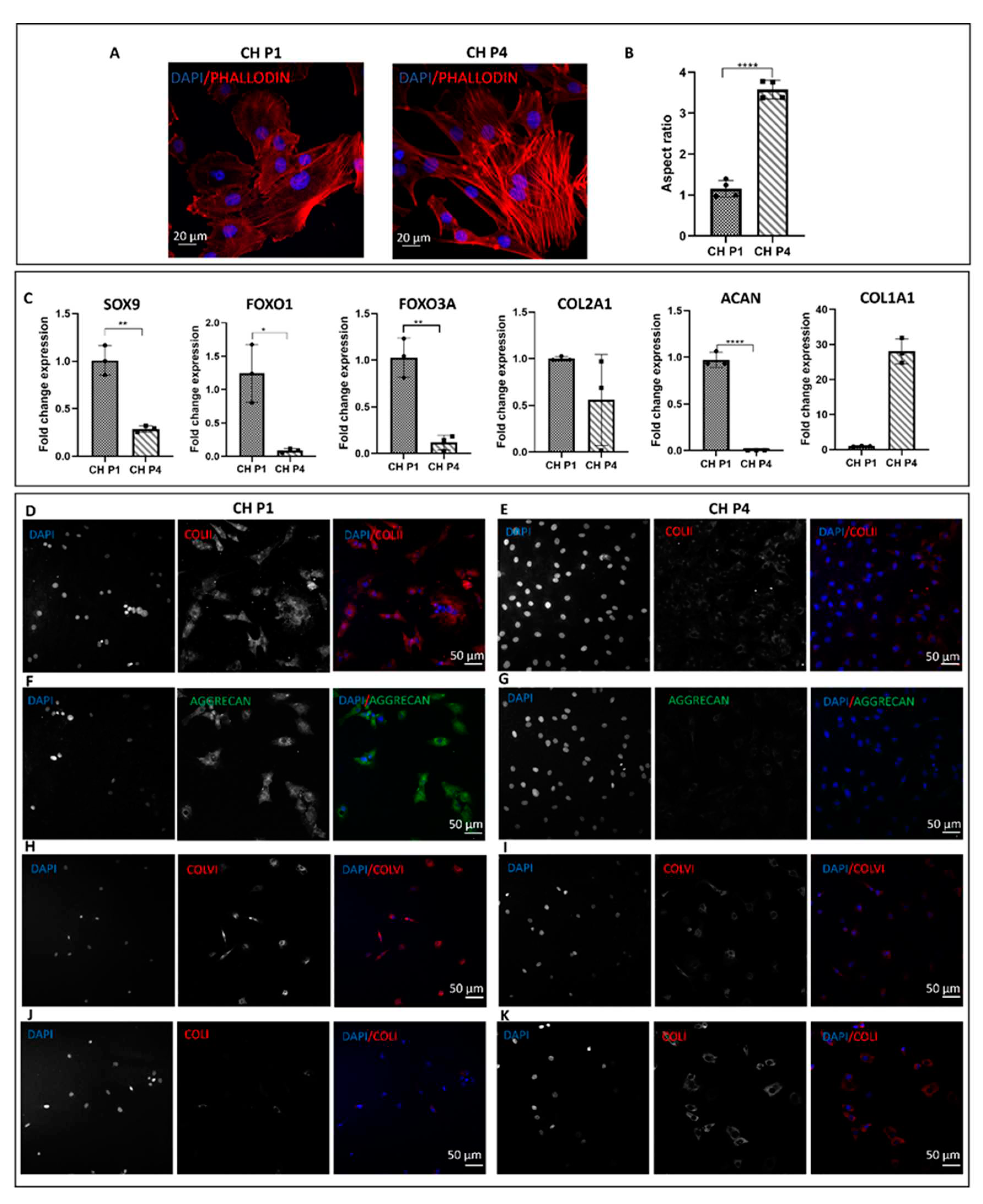 Preprints 81496 g001