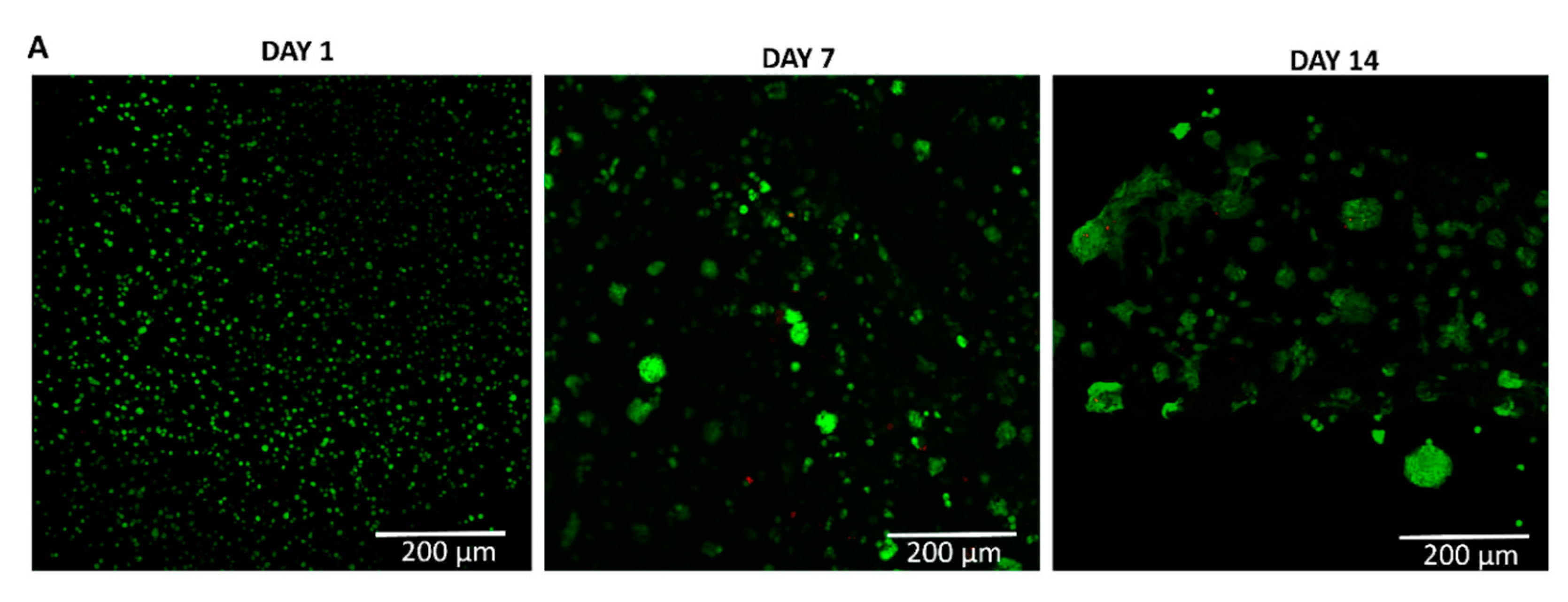 Preprints 81496 g002