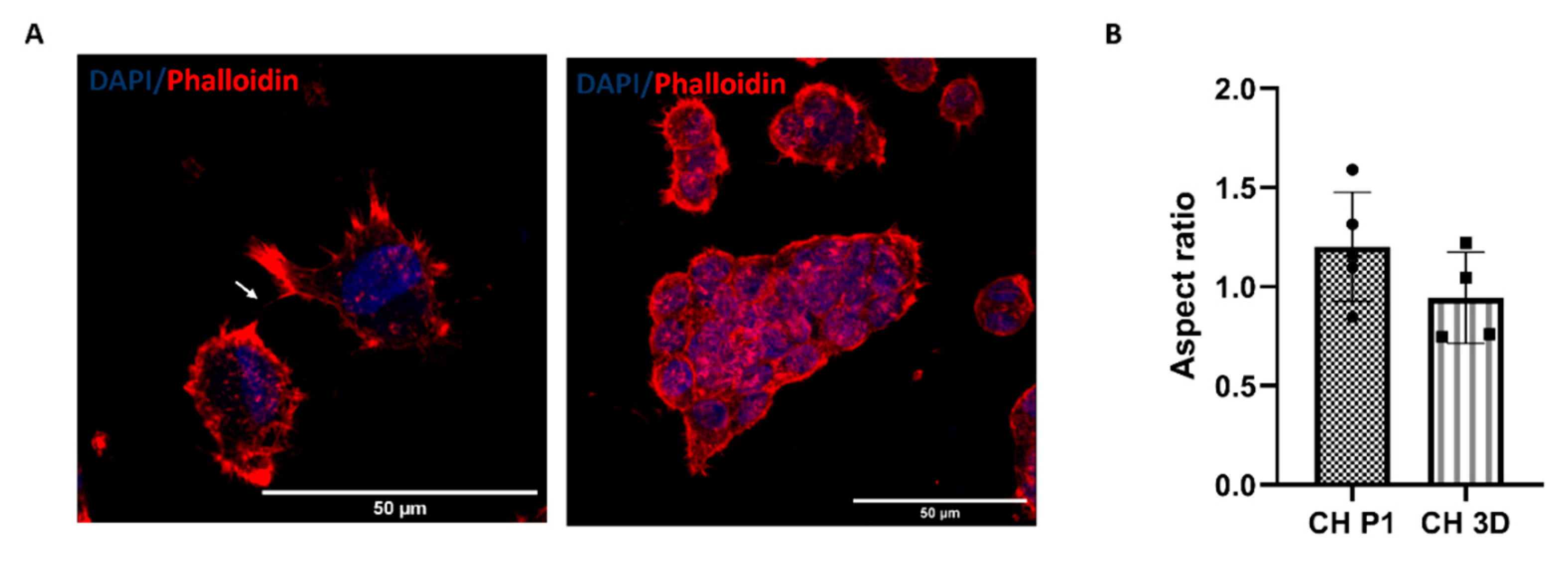 Preprints 81496 g005