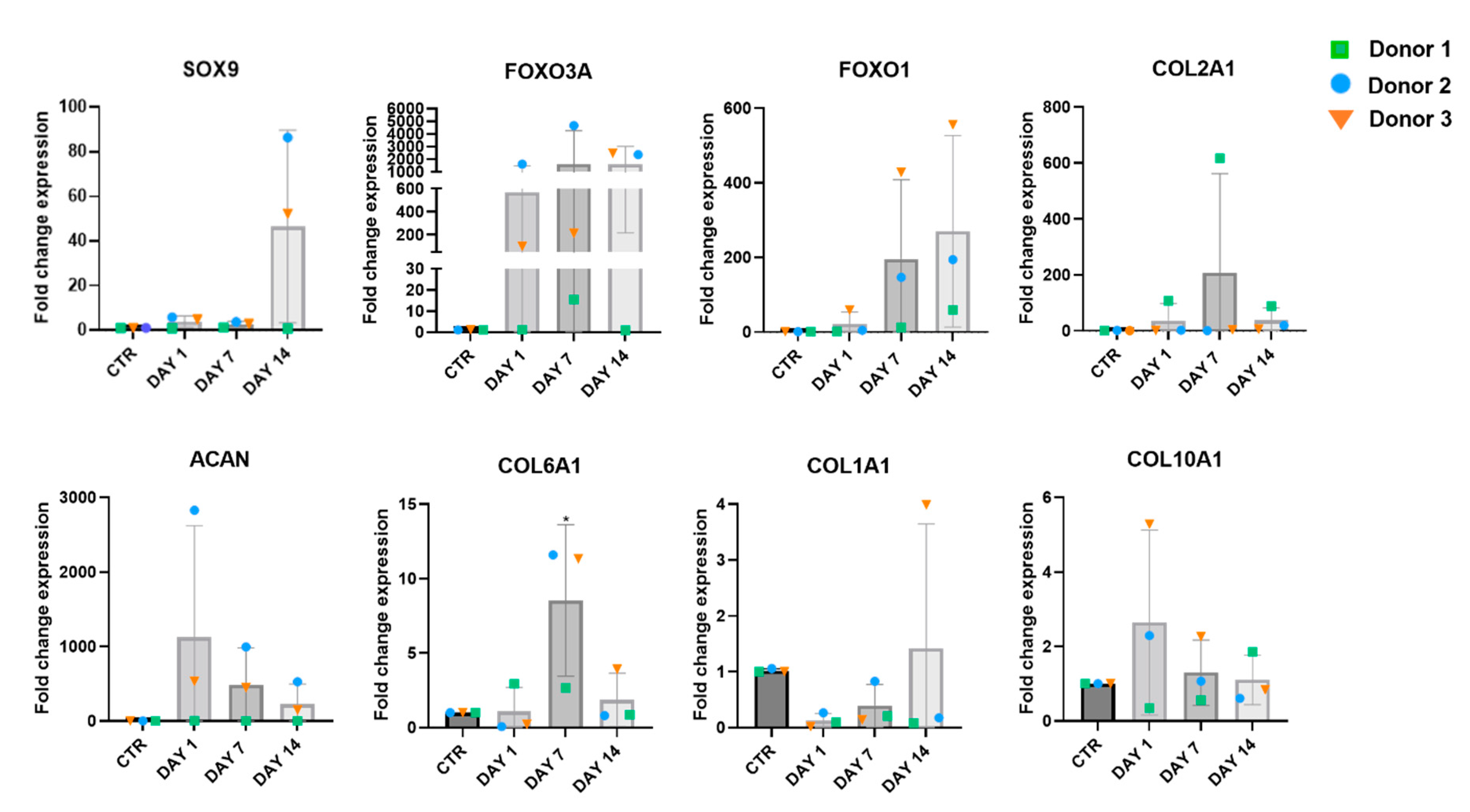 Preprints 81496 g006